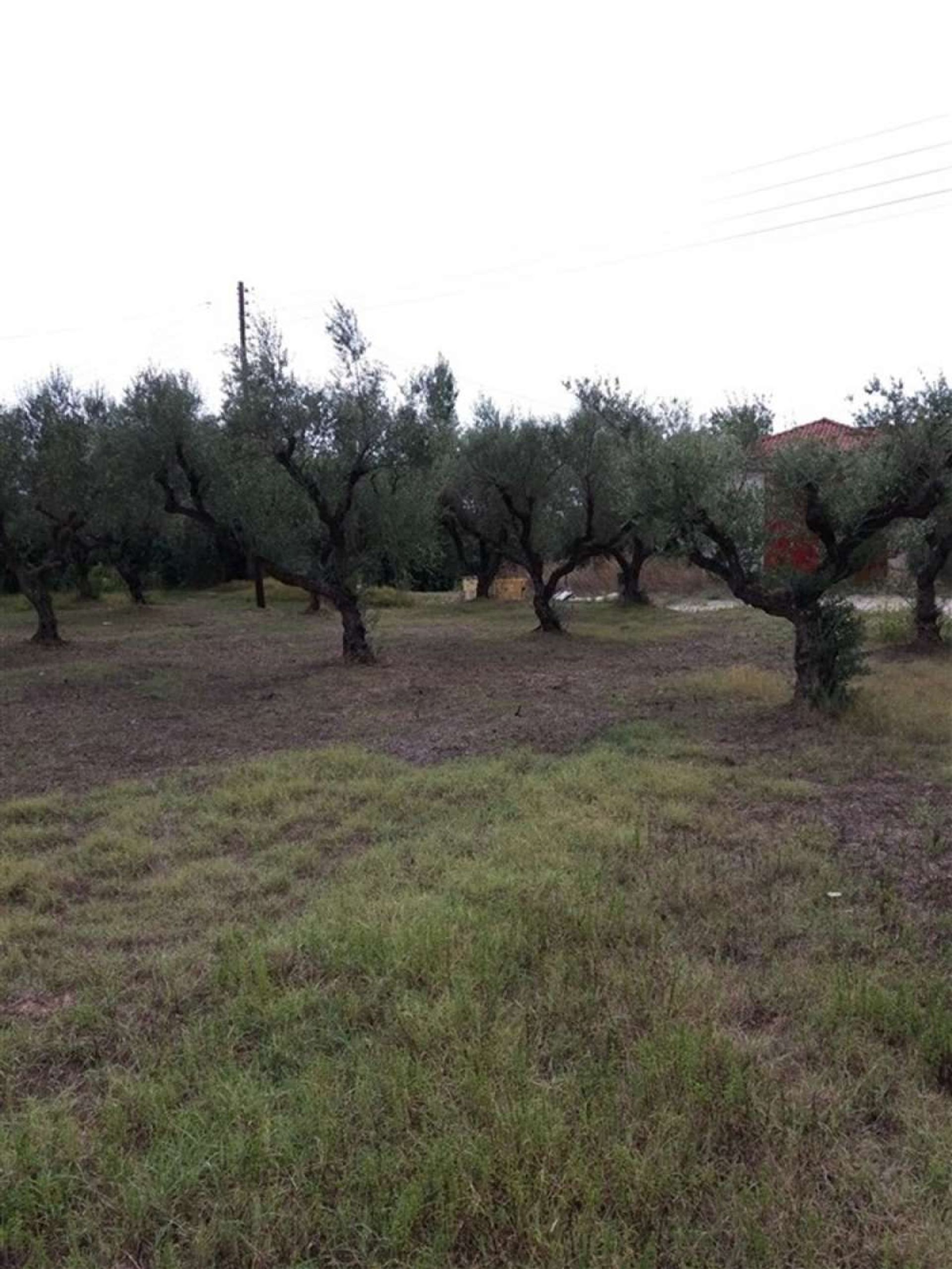 Земельные участки в Zakynthos, Zakinthos 10087865