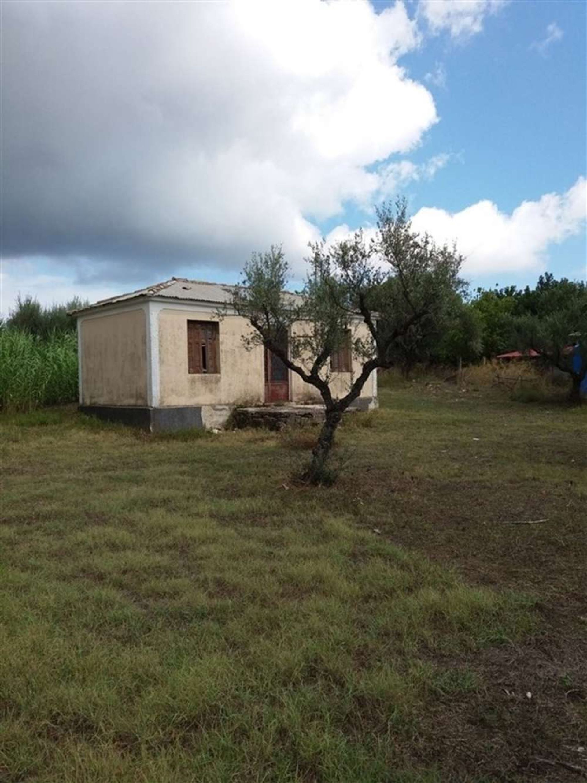 Tierra en Zakynthos, Zakinthos 10087865