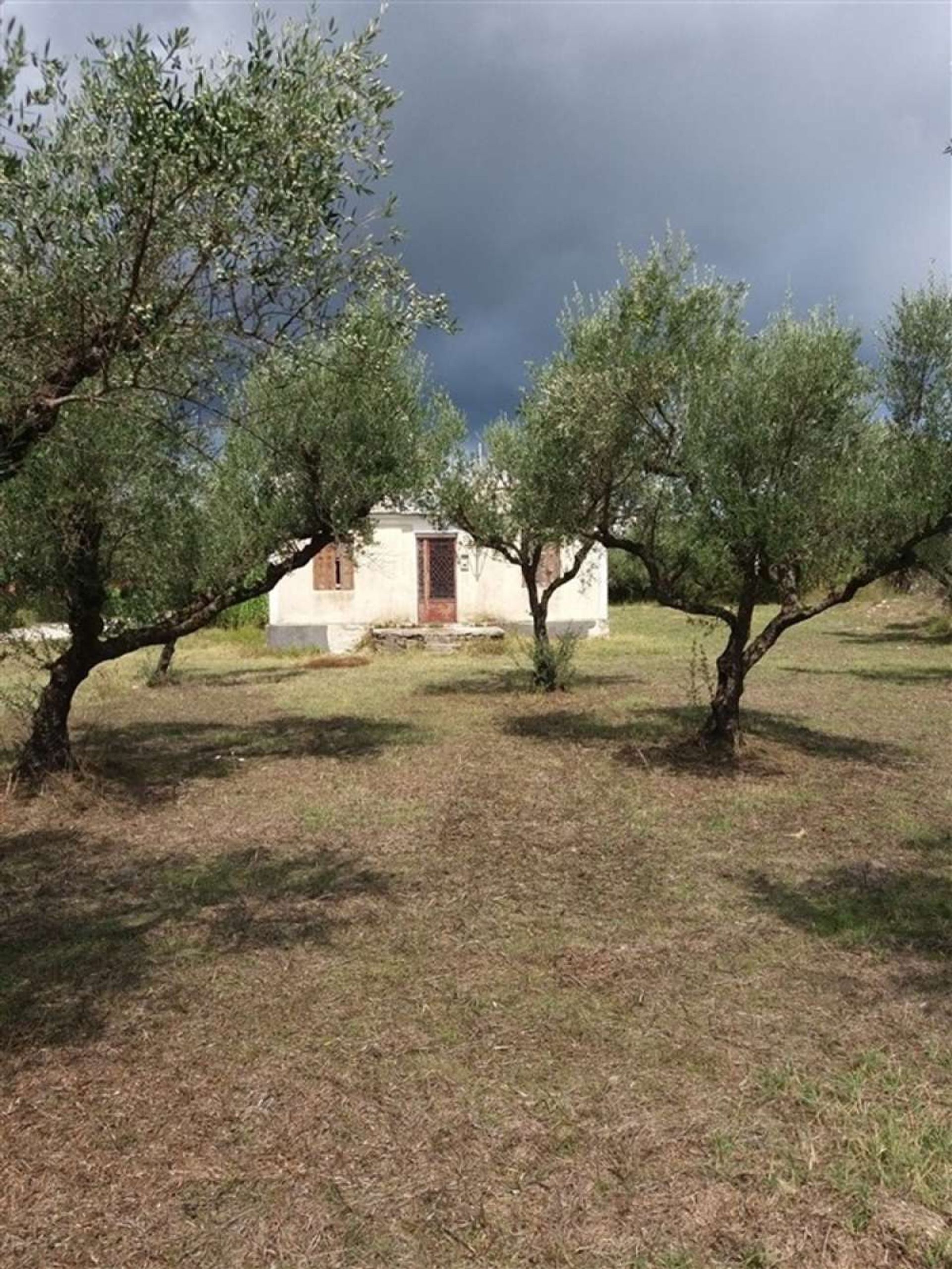 Tierra en Zakynthos, Zakinthos 10087865