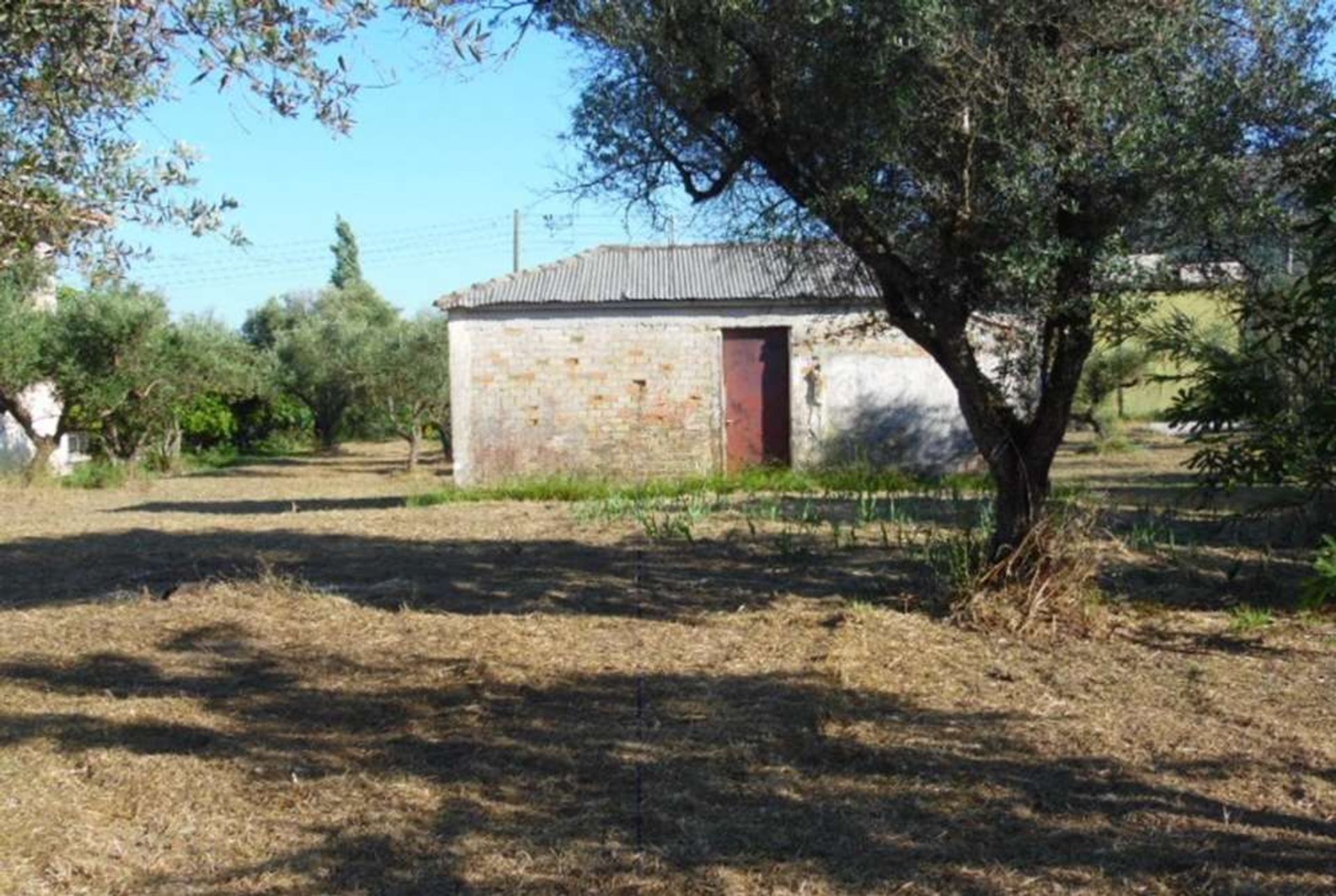 Tierra en Zakynthos, Zakinthos 10087865