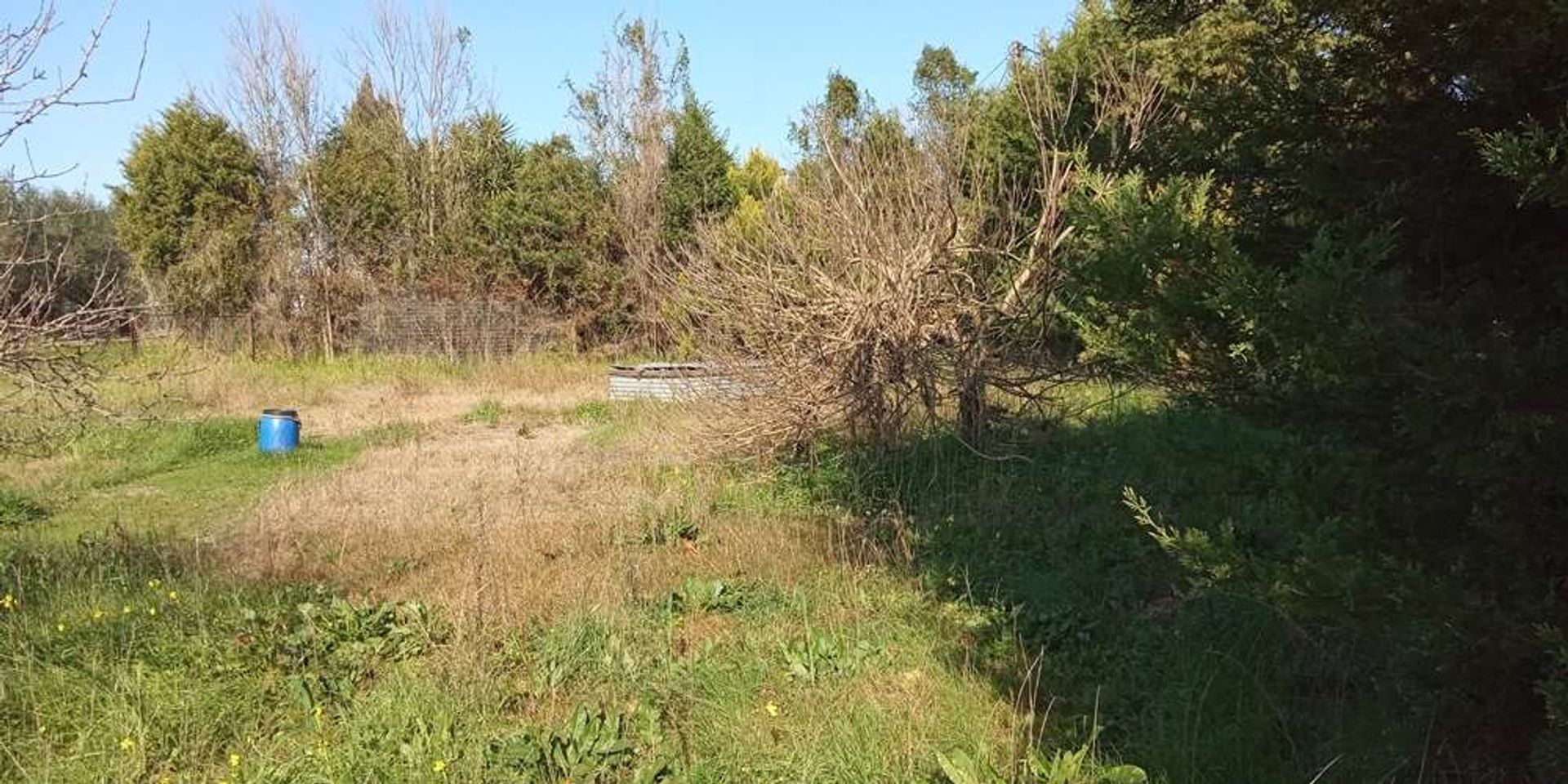 Tierra en bochalí, Jonia Nisia 10087866