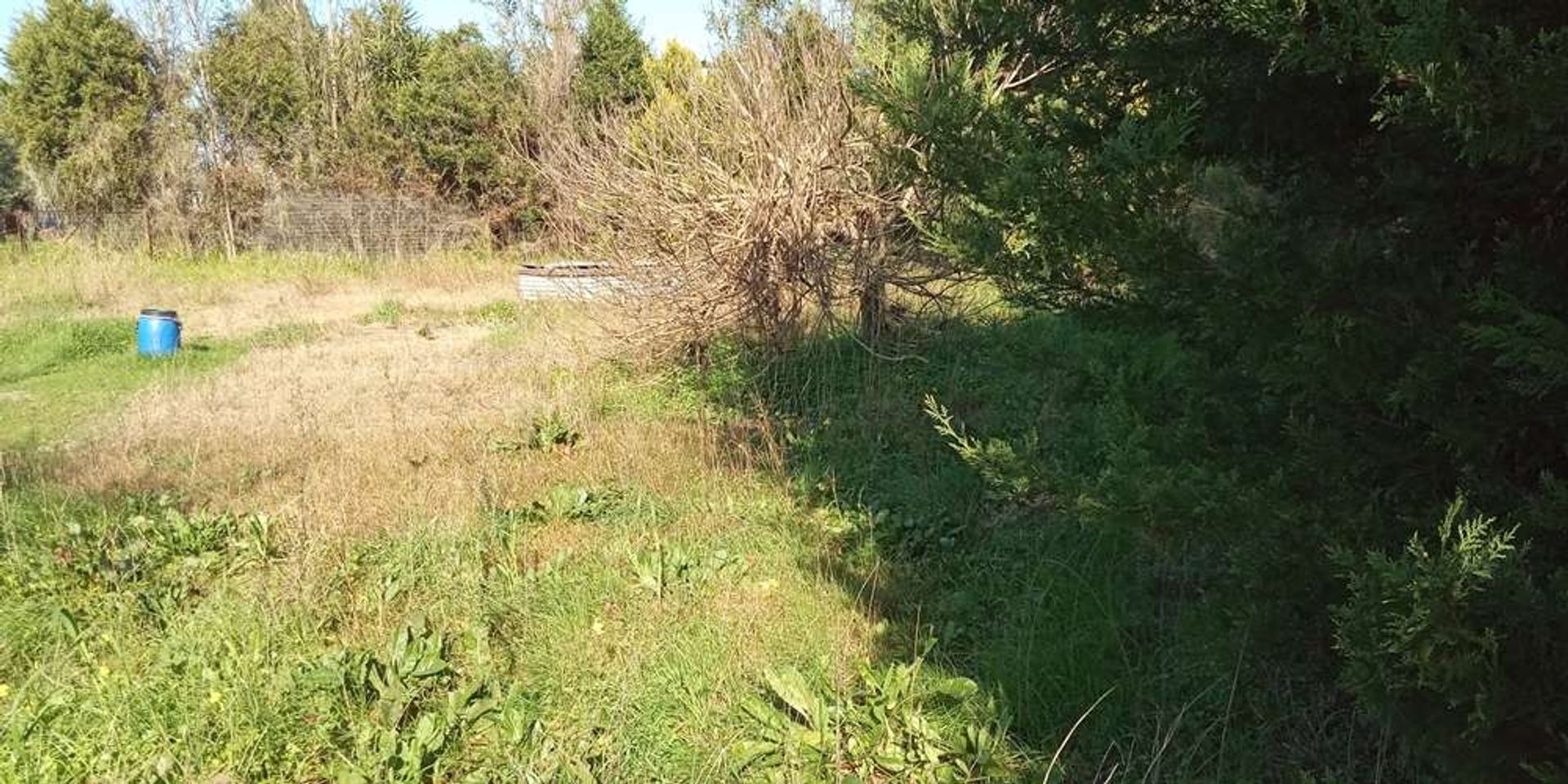 Tierra en bochalí, Jonia Nisia 10087866