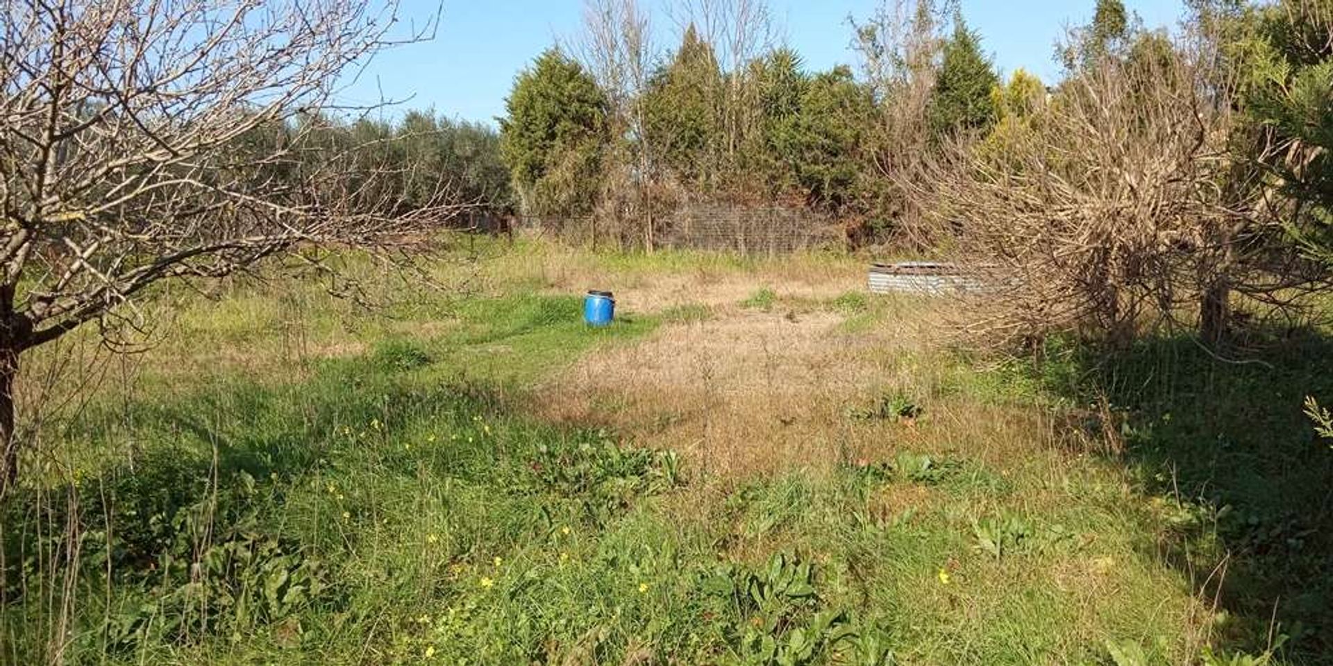 Tanah dalam Zakynthos, Zakinthos 10087866