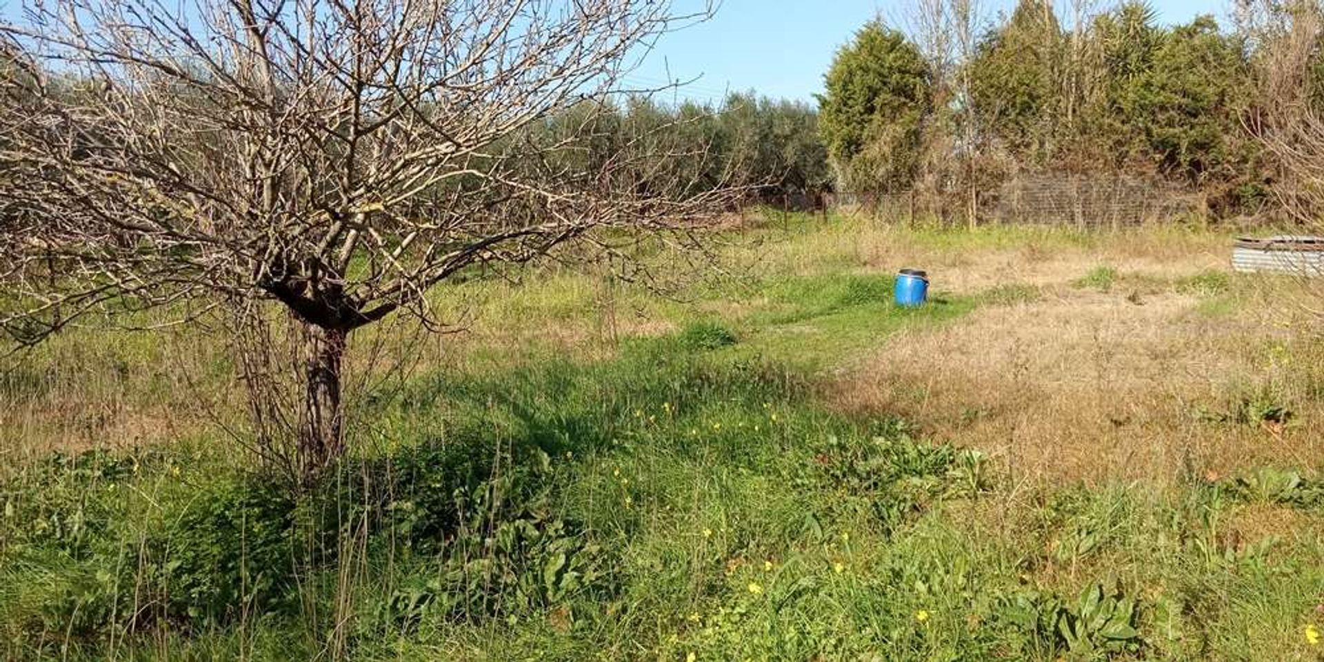 Tanah dalam Zakynthos, Zakinthos 10087866