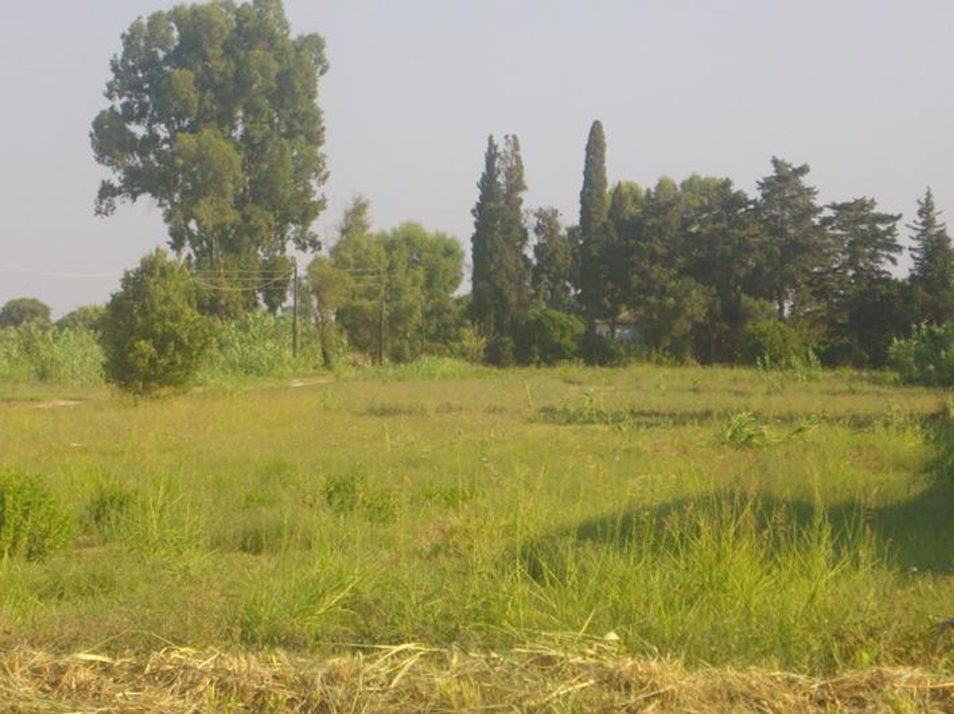 Land i Zakynthos, Zakinthos 10087868