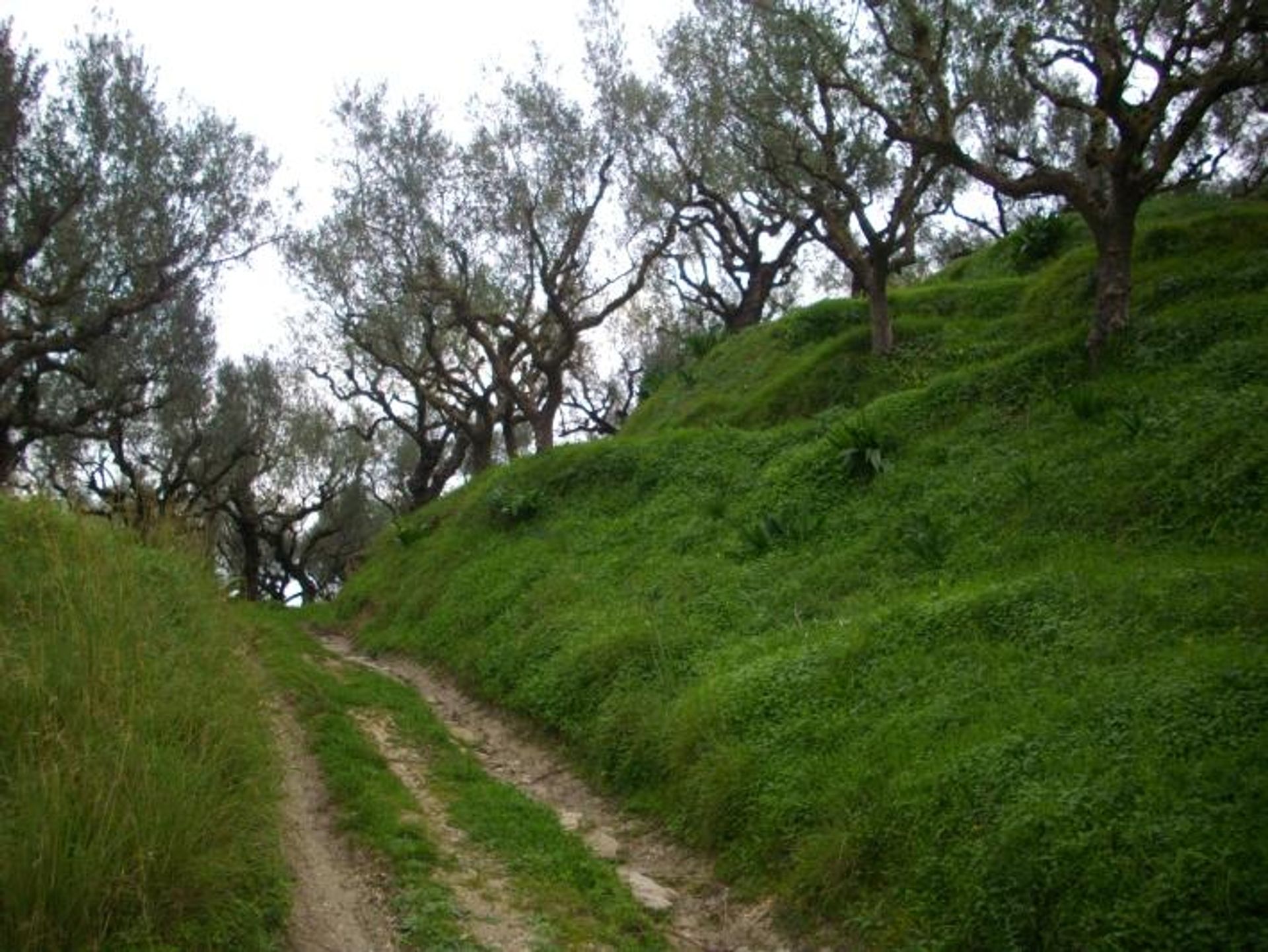 Jord i Zakynthos, Zakinthos 10087869