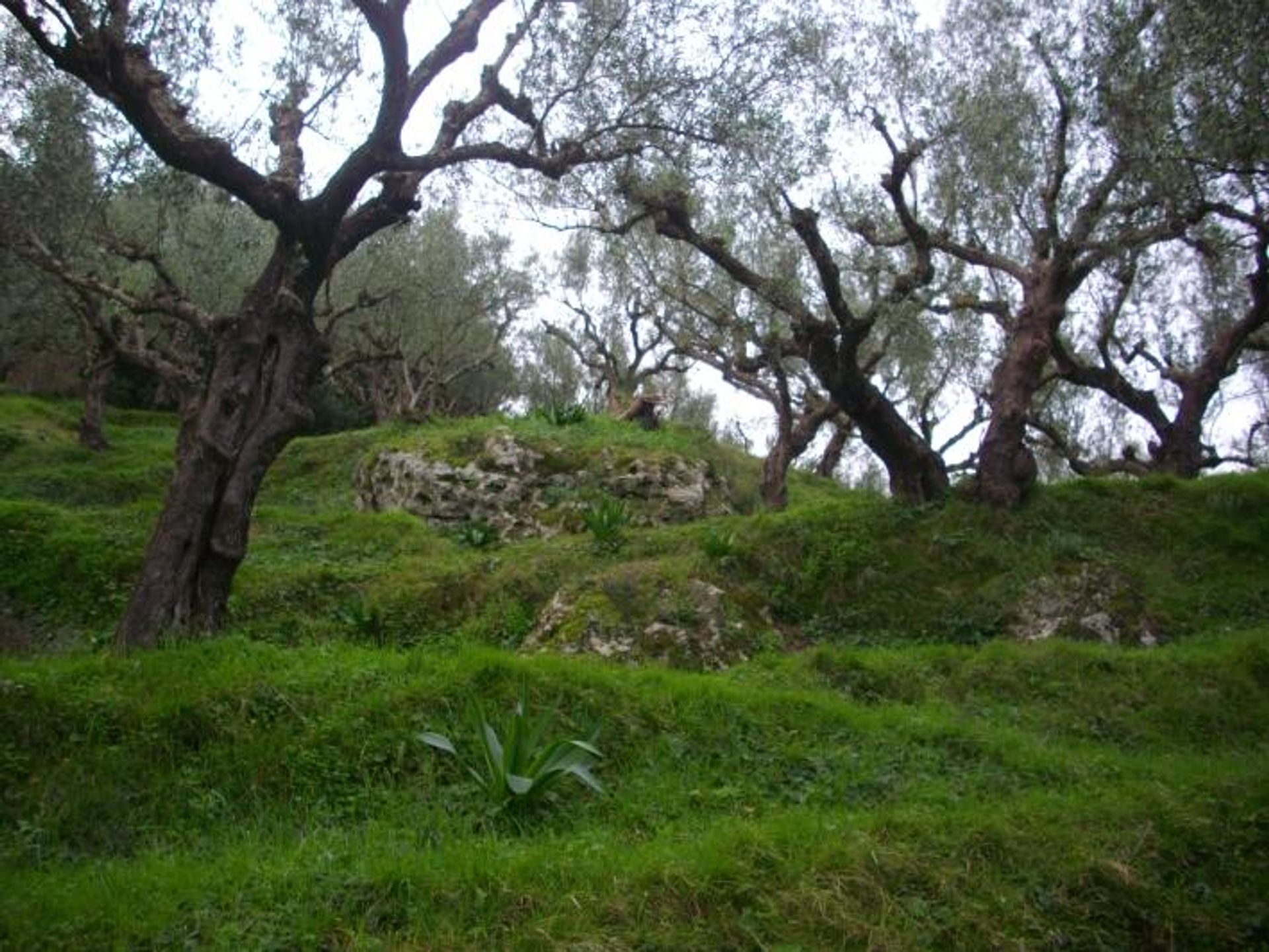 Земельные участки в Zakynthos, Zakinthos 10087869