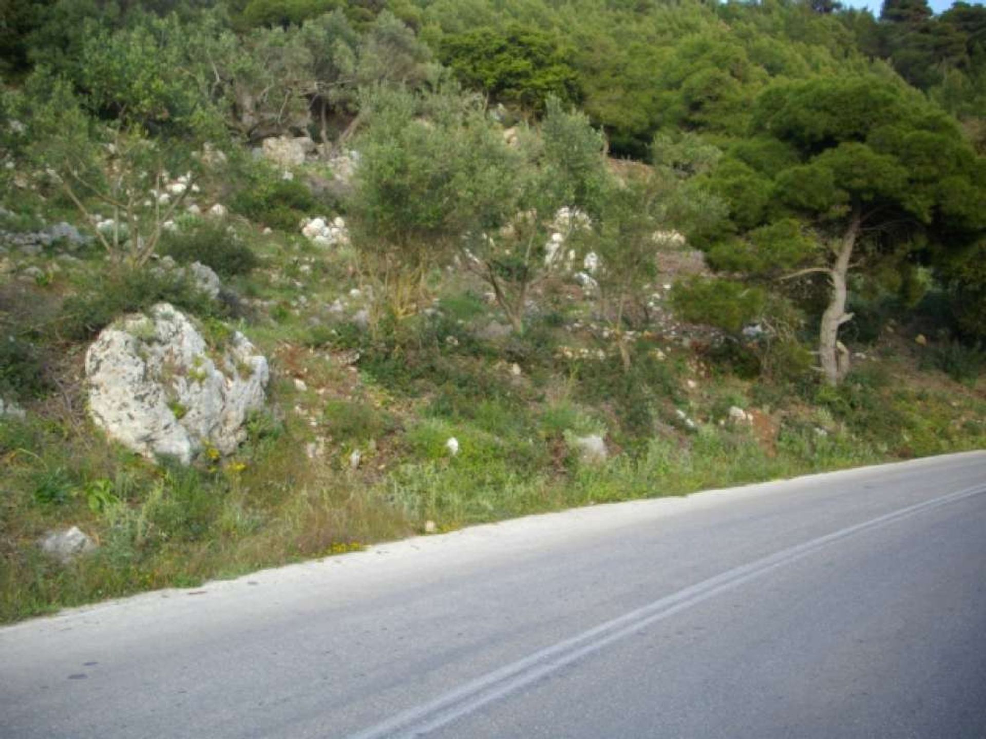 ארץ ב Zakynthos, Zakinthos 10087871