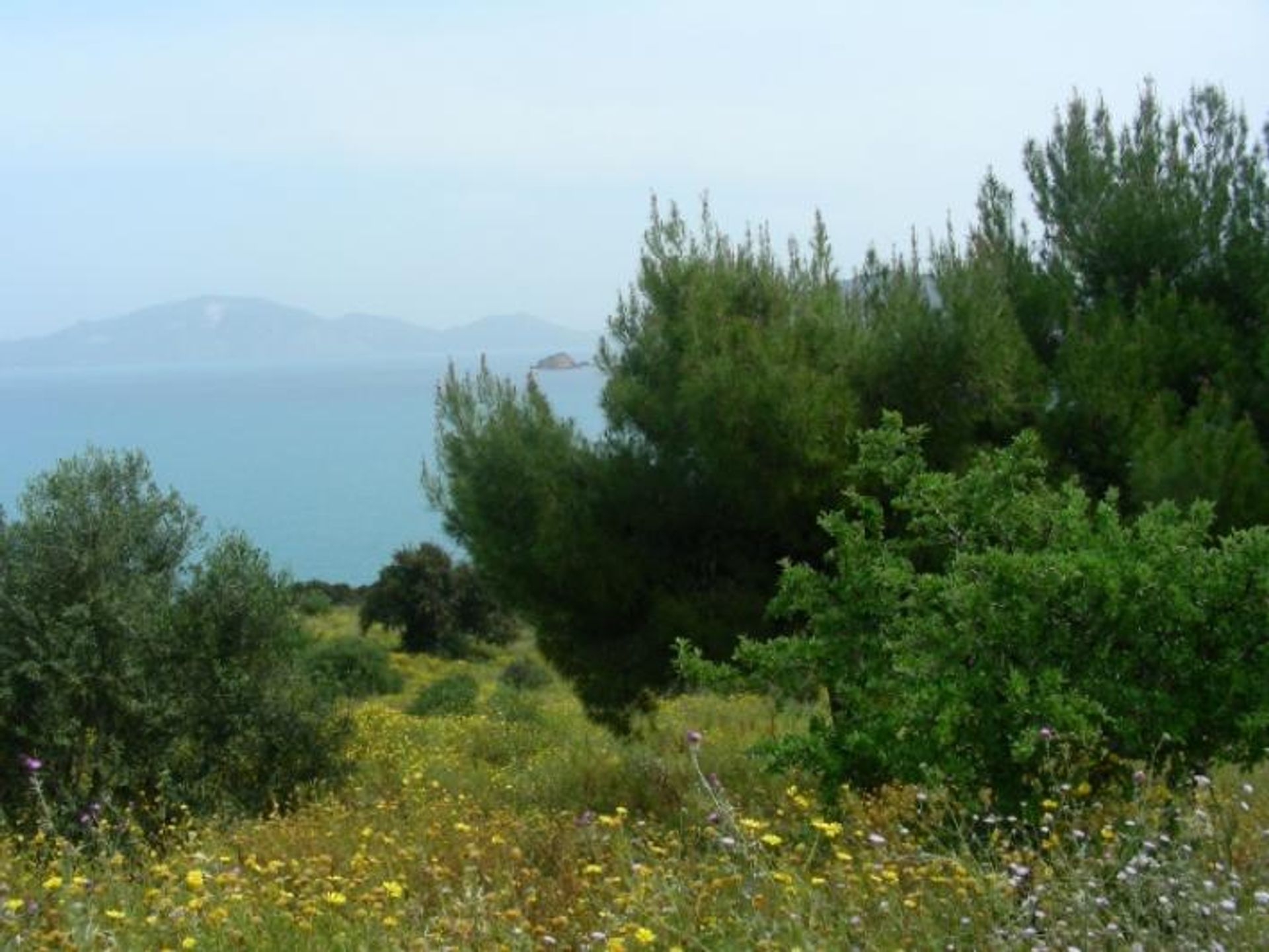 Tanah dalam Zakynthos, Zakinthos 10087873