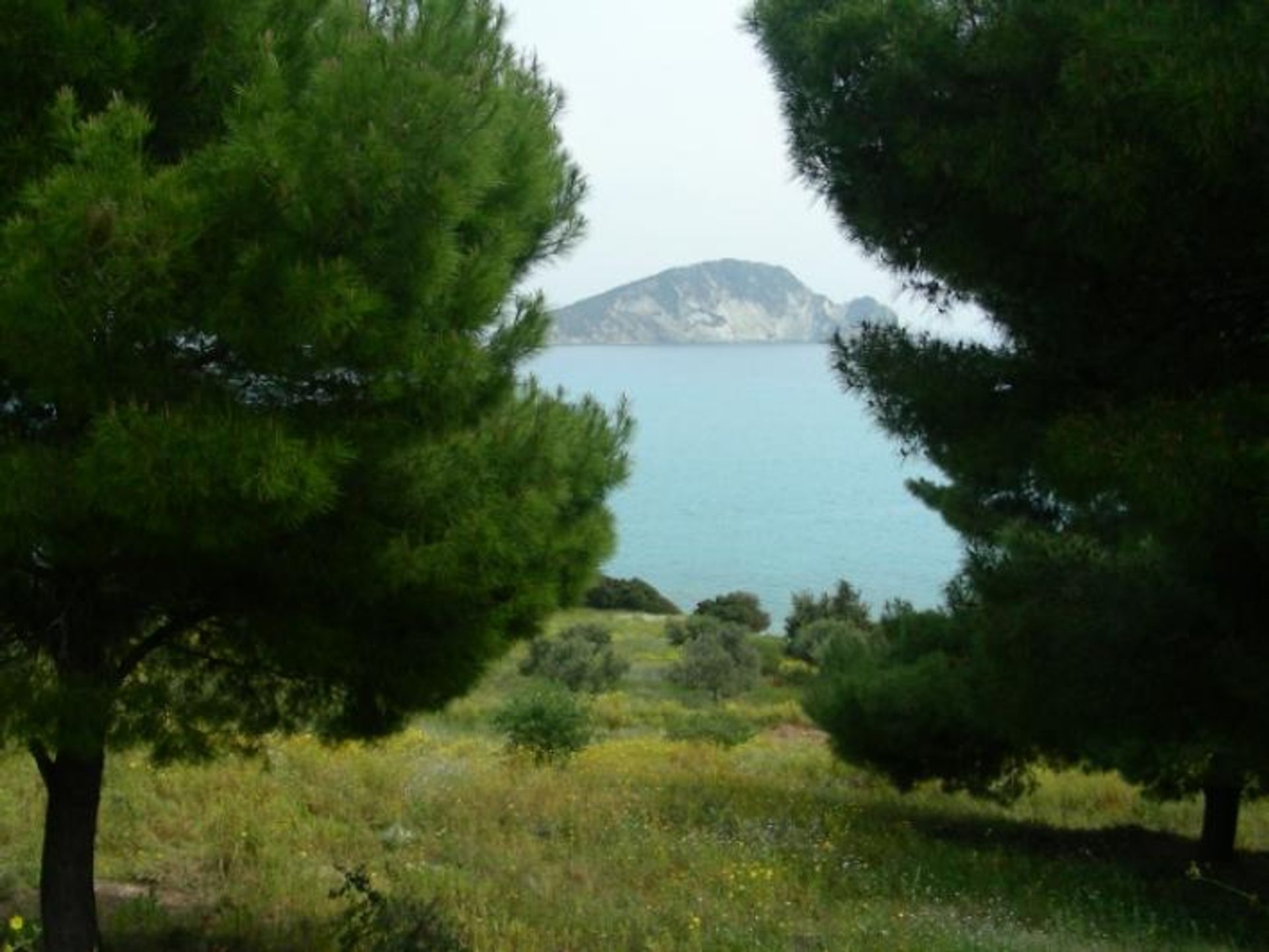 Tanah dalam Zakynthos, Zakinthos 10087873