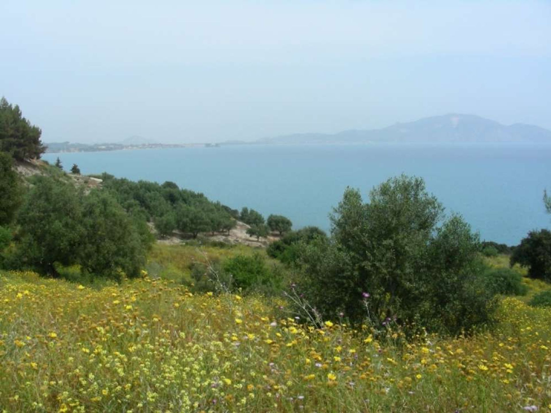 Tanah dalam Zakynthos, Zakinthos 10087873