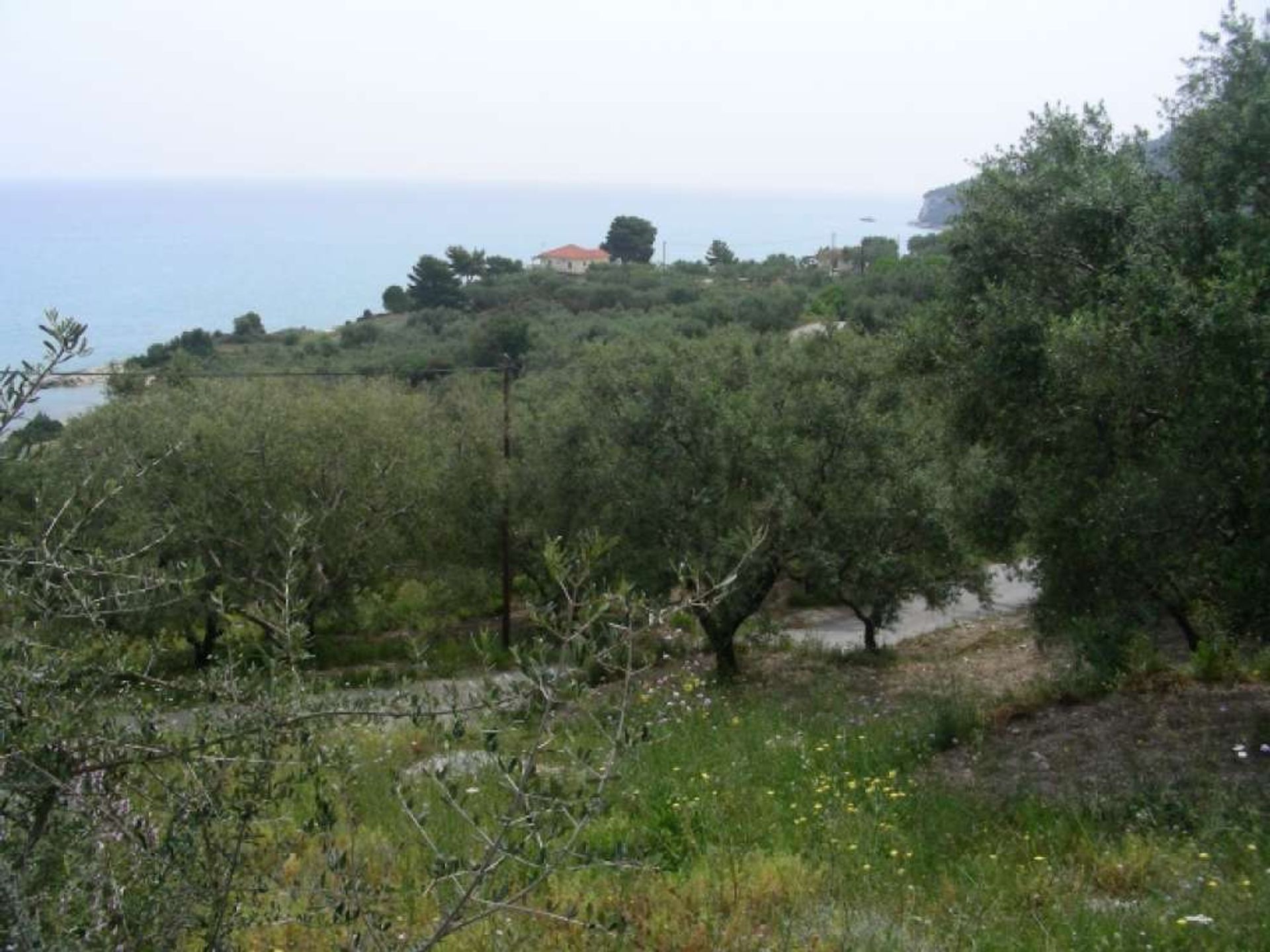 الأرض في Zakynthos, Zakinthos 10087873