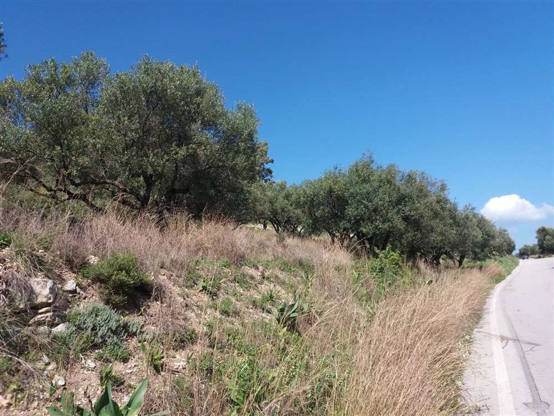 ארץ ב Zakynthos, Zakinthos 10087884