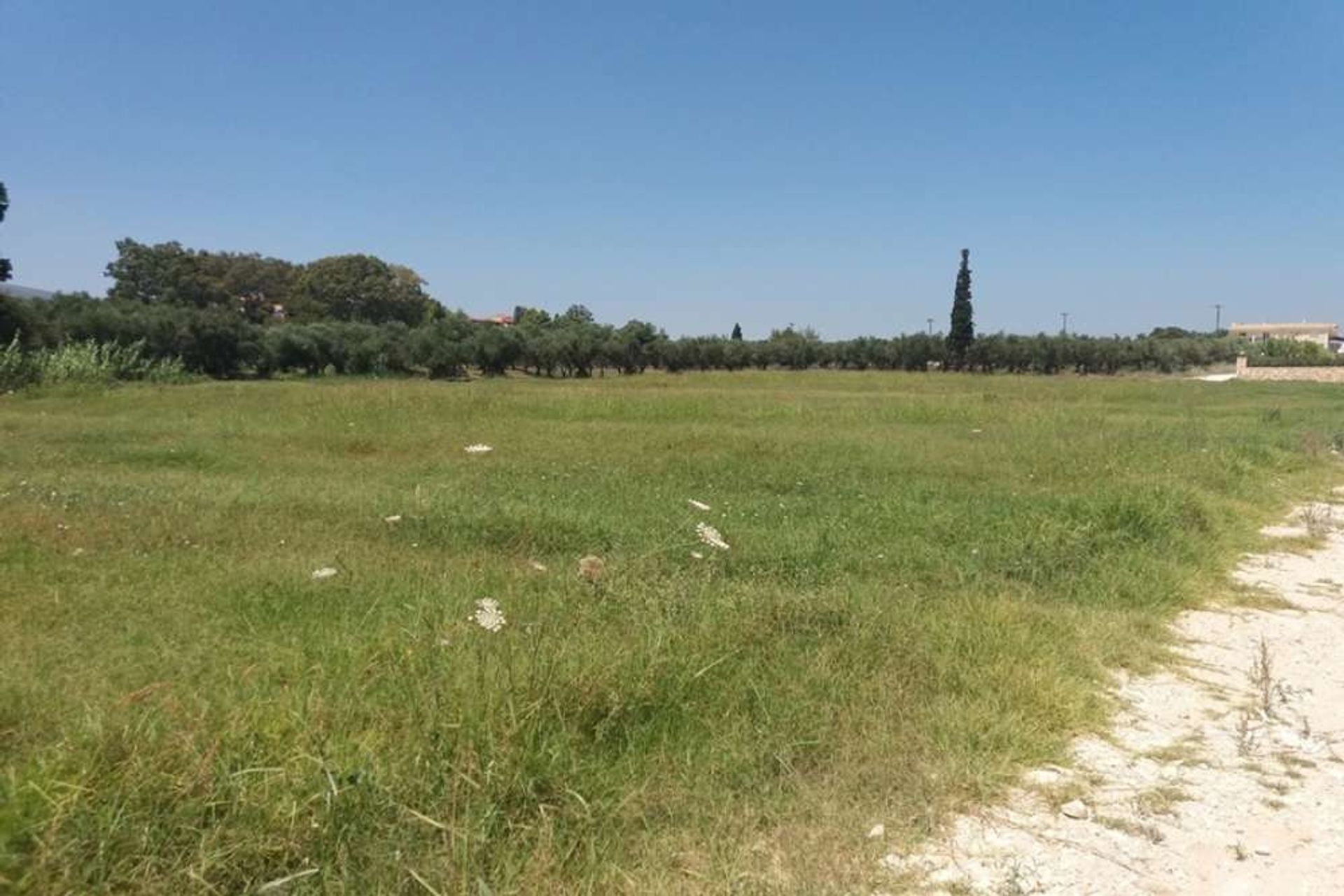 Land in Bochali, Ionia Nisia 10087890