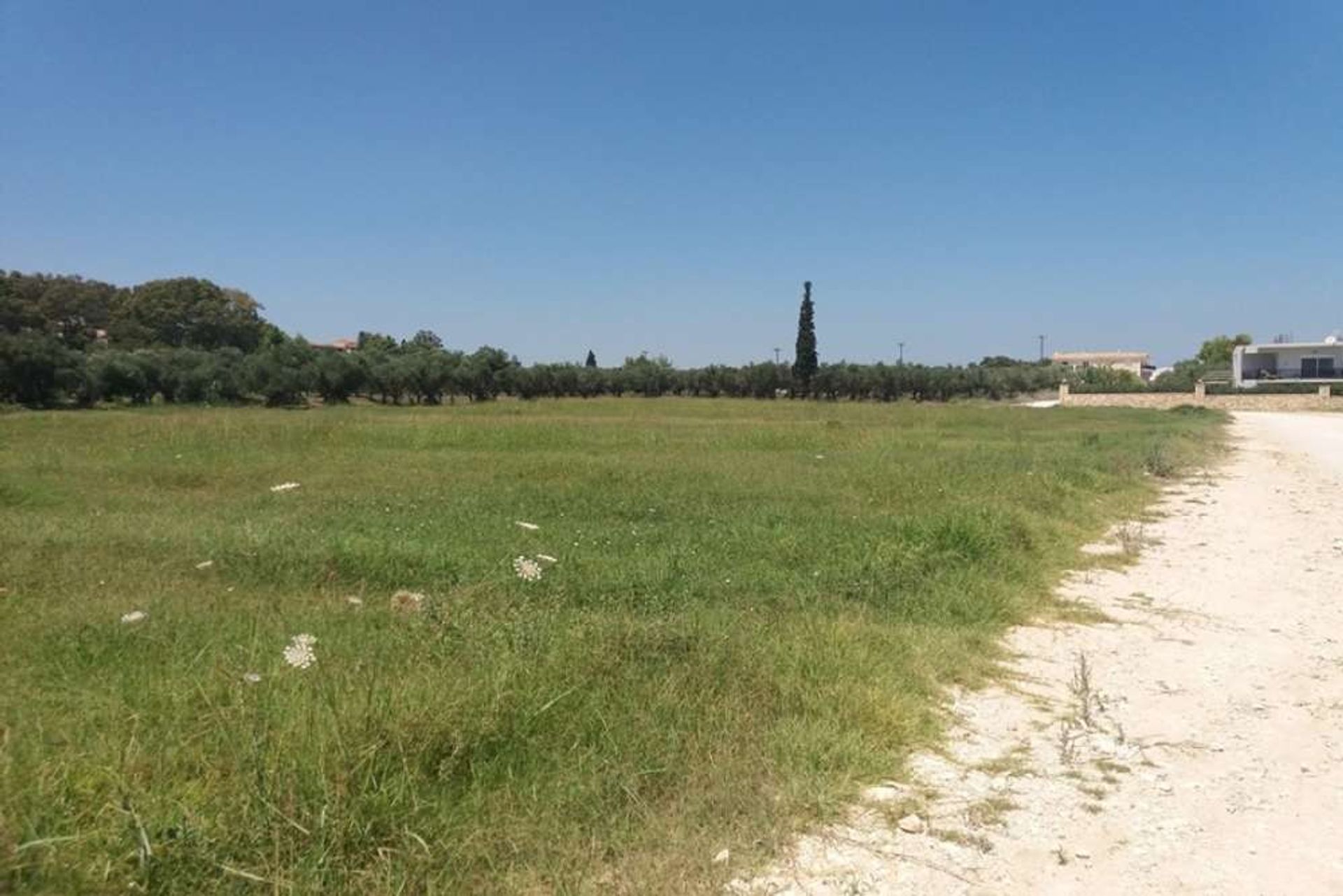 Земля в Zakynthos, Zakinthos 10087890