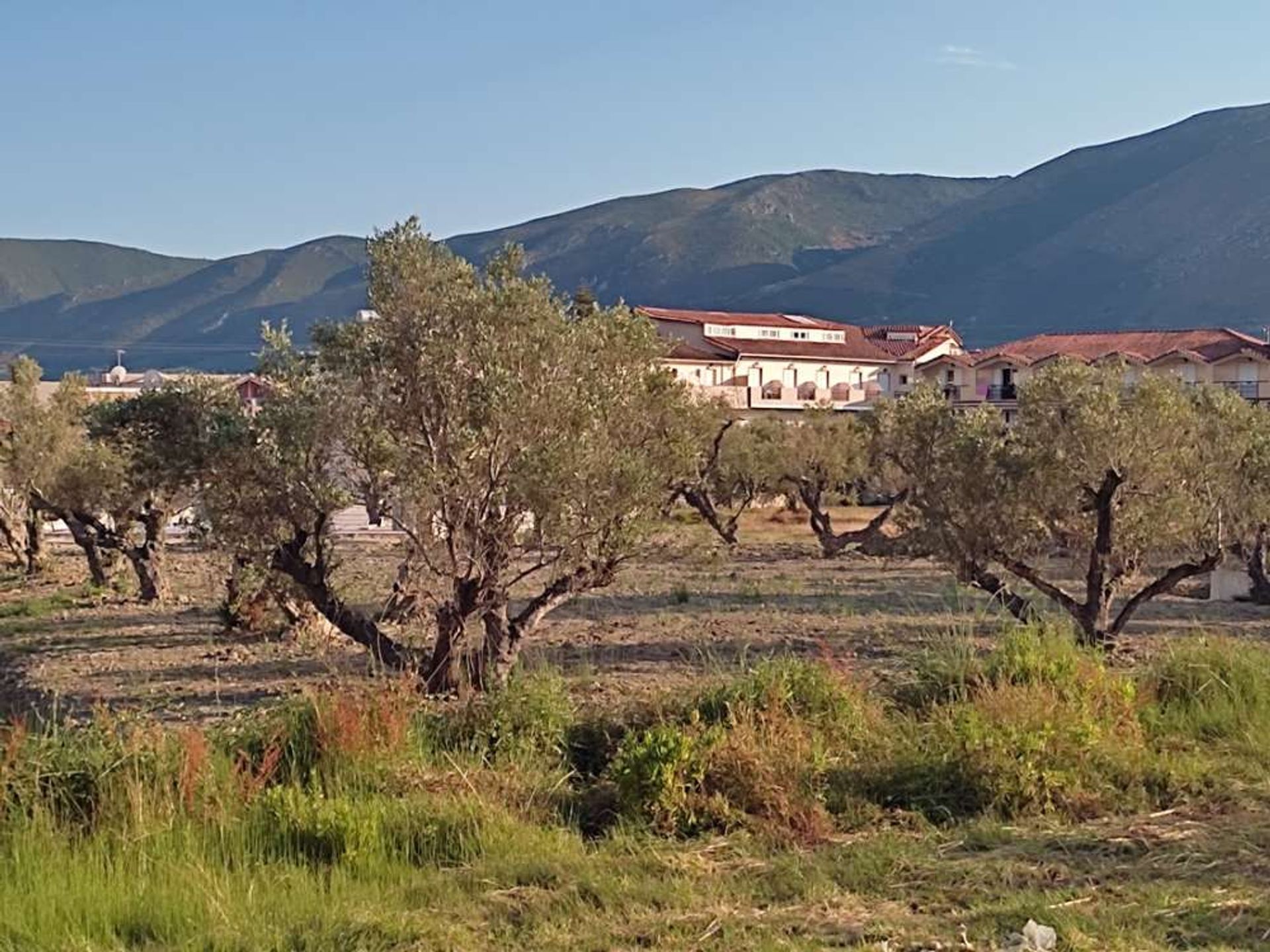 Tierra en bochalí, Jonia Nisia 10087894