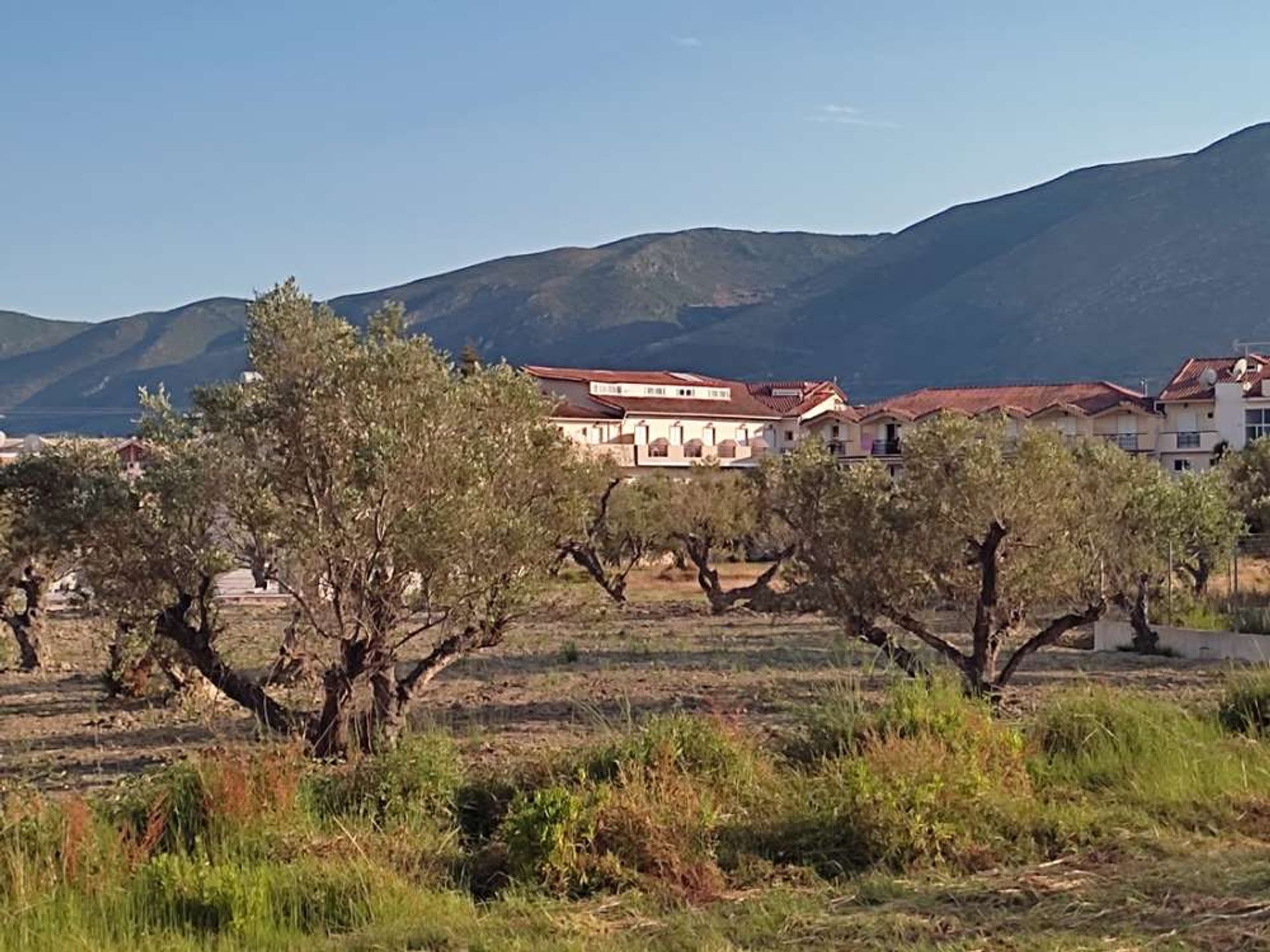 Tierra en bochalí, Jonia Nisia 10087894