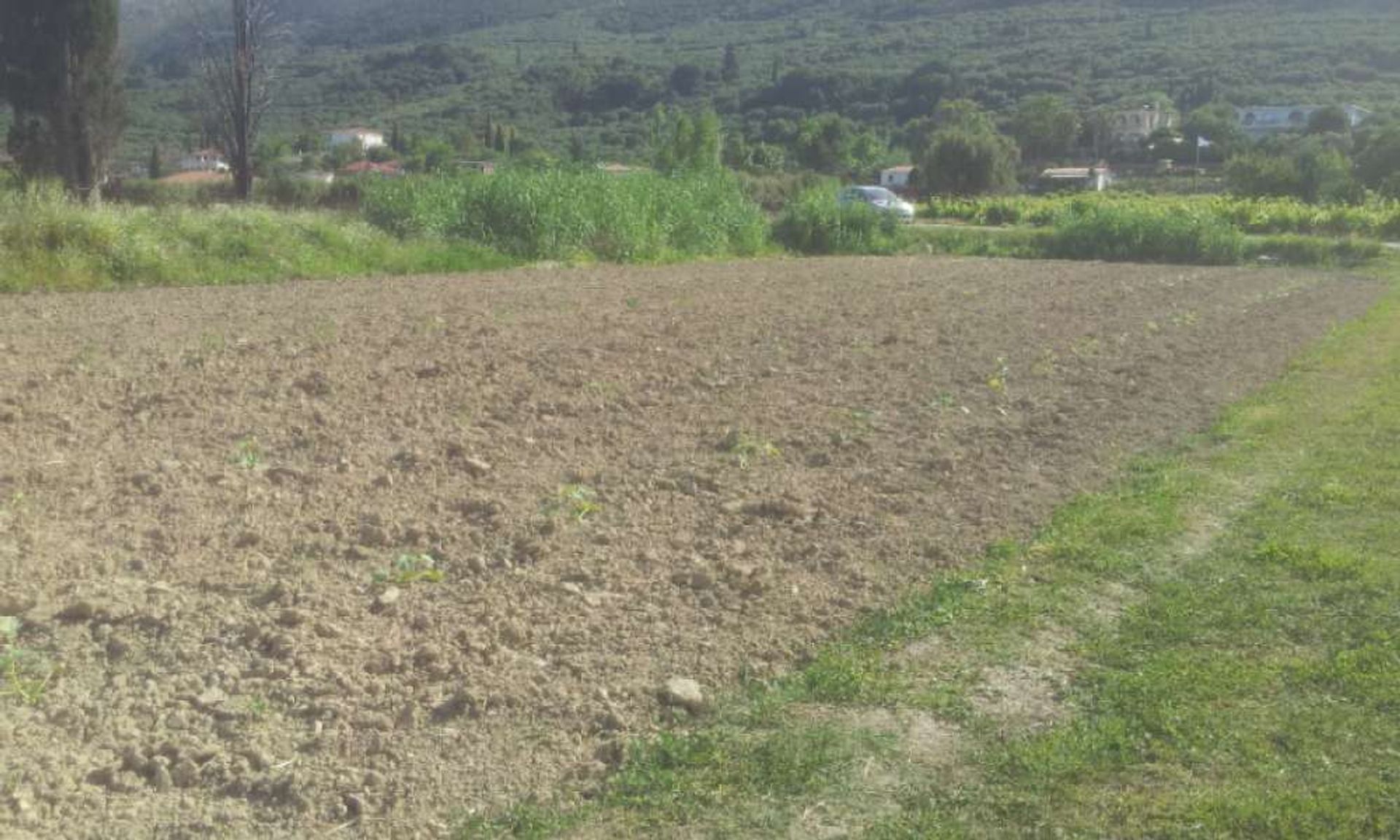 Terre dans Zakynthos, Zakinthos 10087901