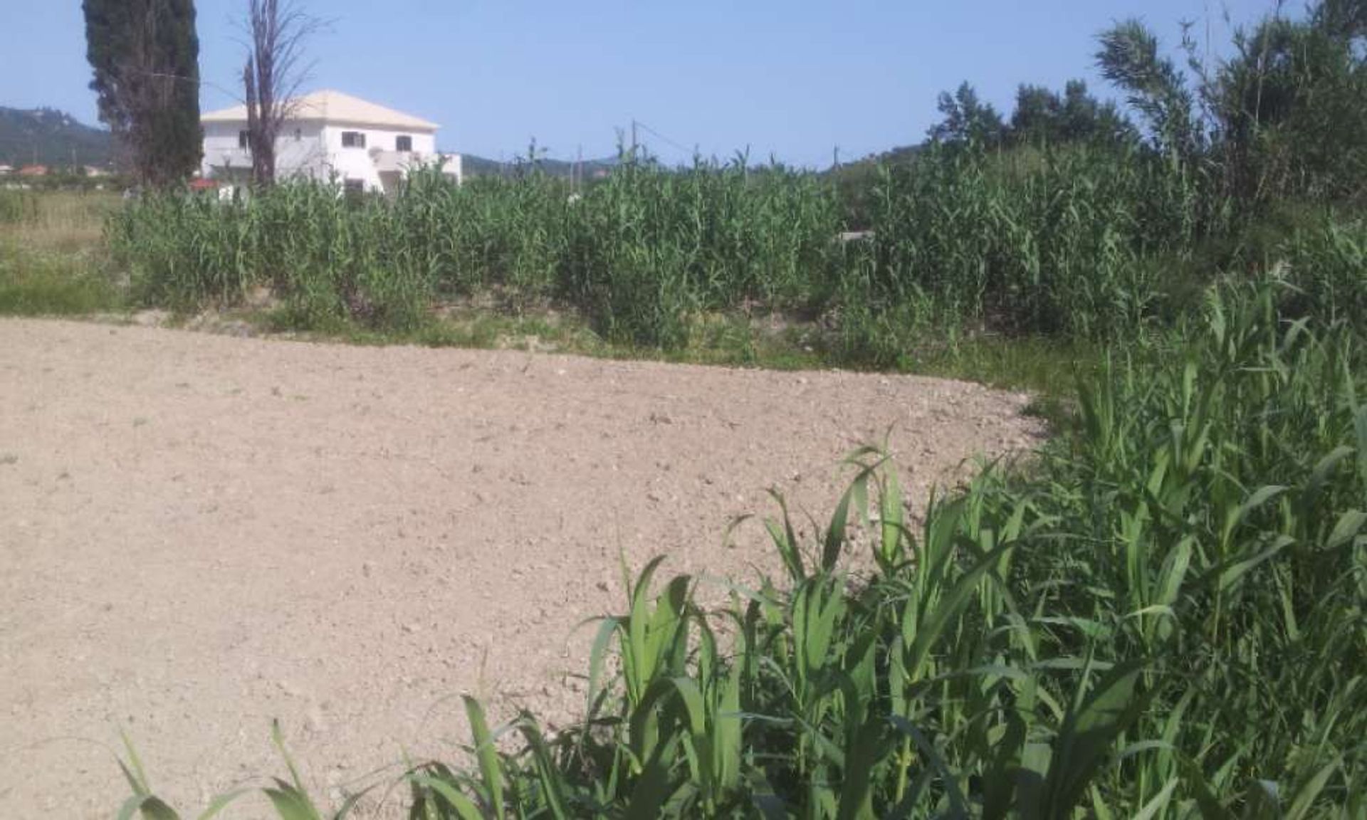 Terre dans Zakynthos, Zakinthos 10087901