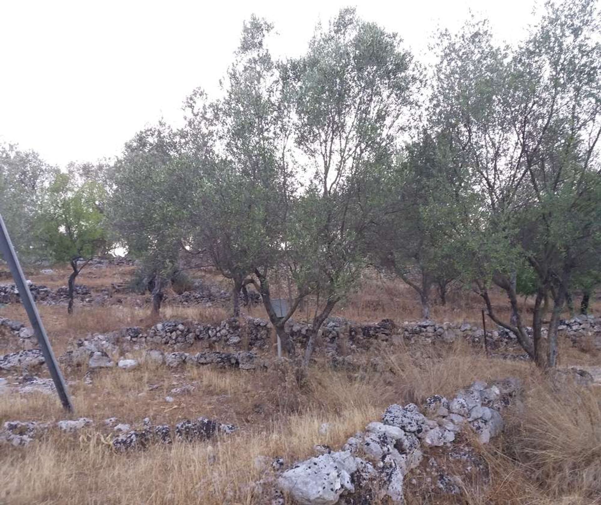 土地 在 Zakynthos, Zakinthos 10087906