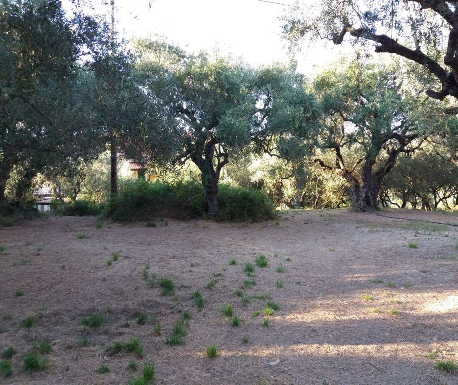 土地 在 Tragaki, Zakinthos 10087907