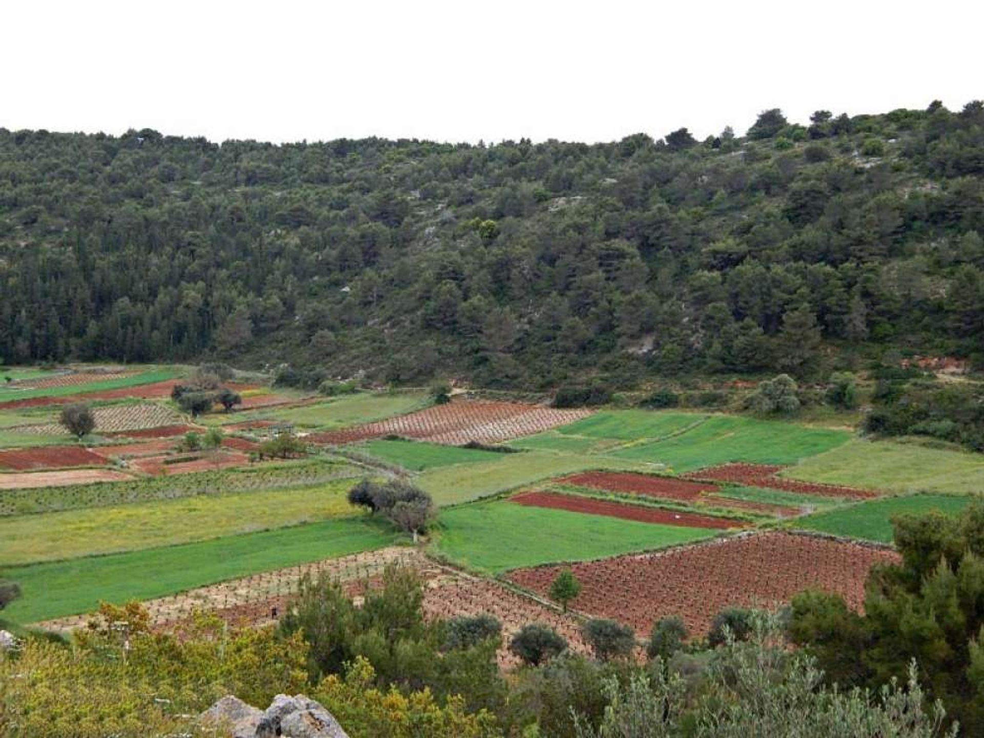 Tierra en Zakynthos, Zakinthos 10087909