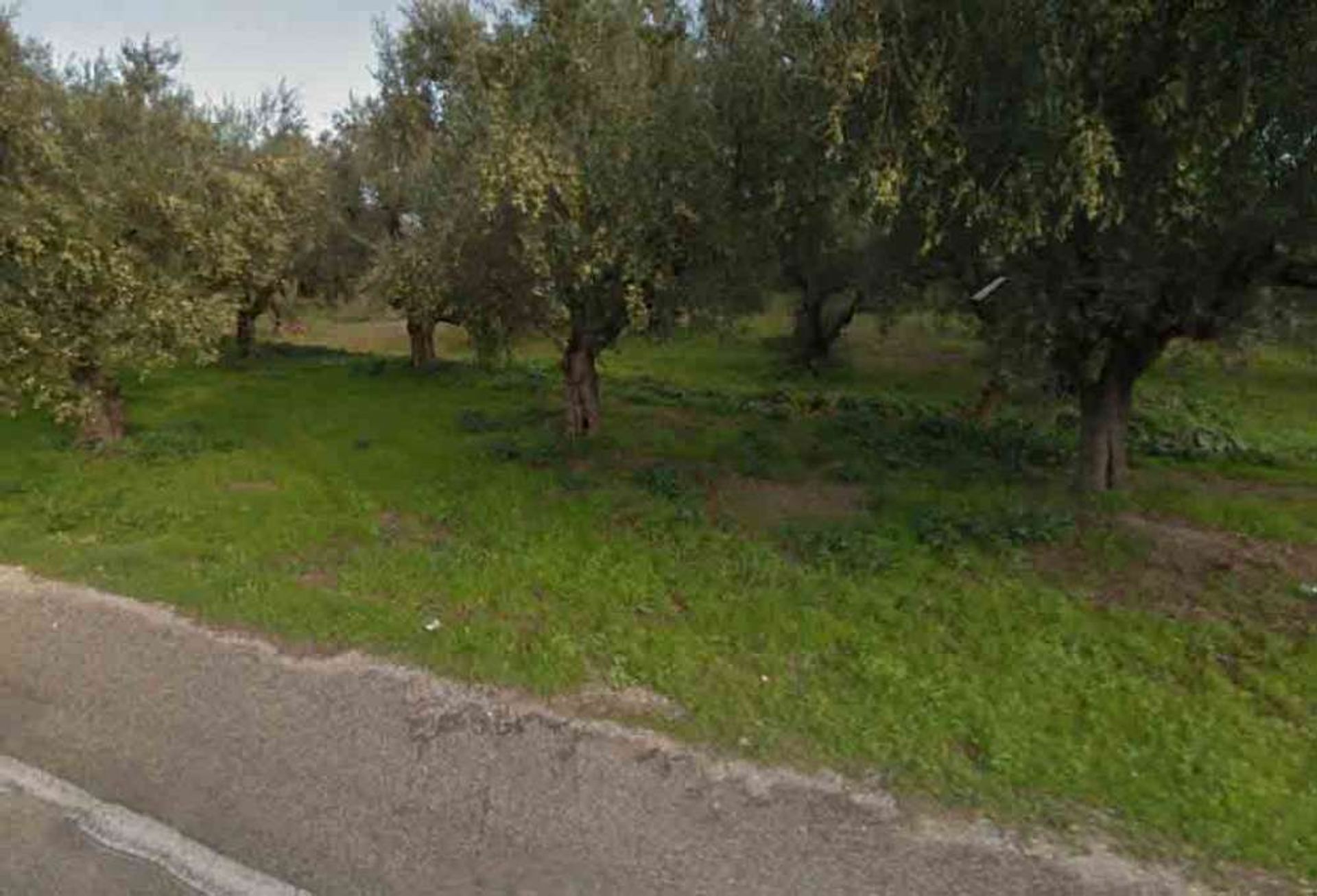 Tierra en Zakynthos, Zakinthos 10087917