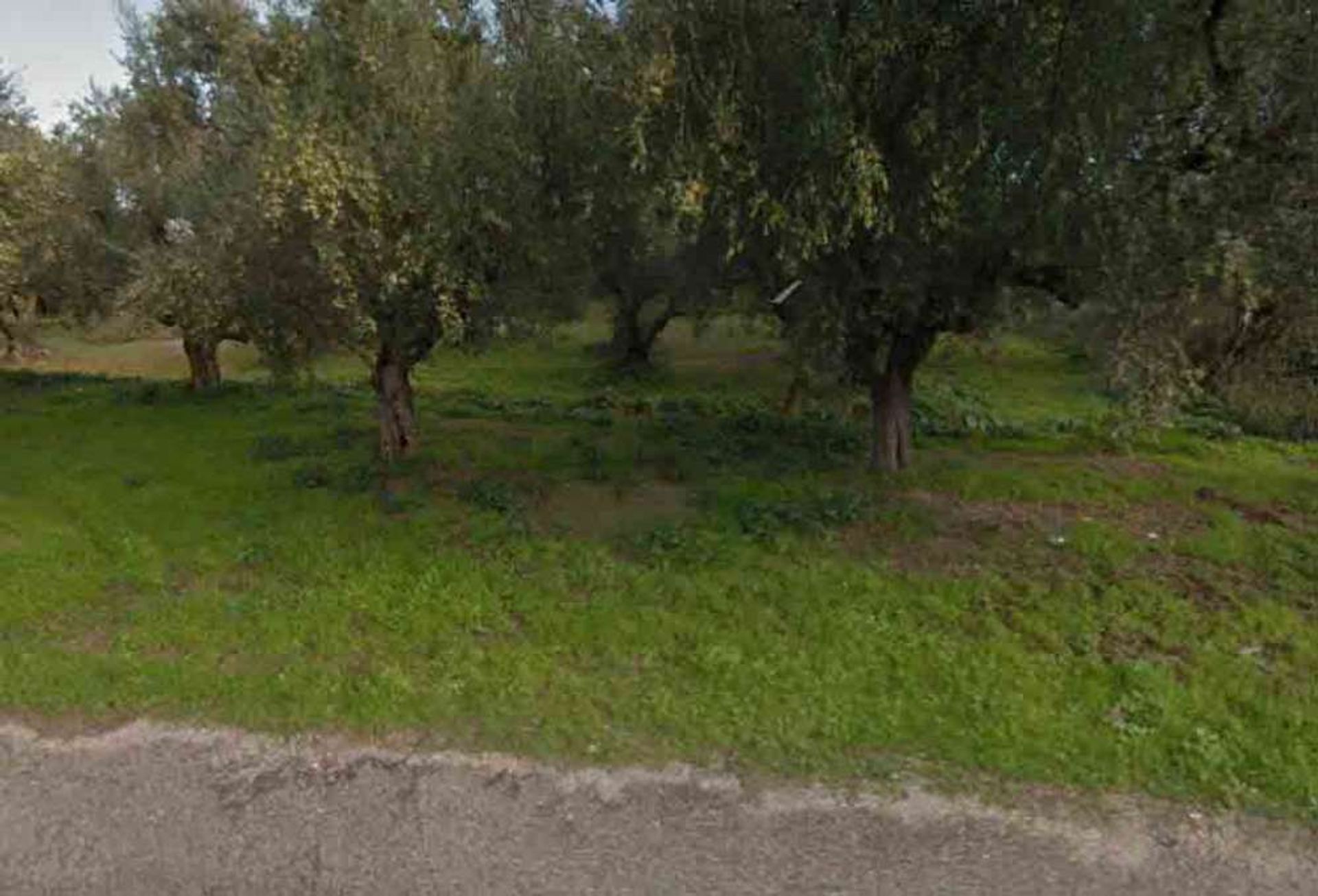 Land i Zakynthos, Zakinthos 10087917