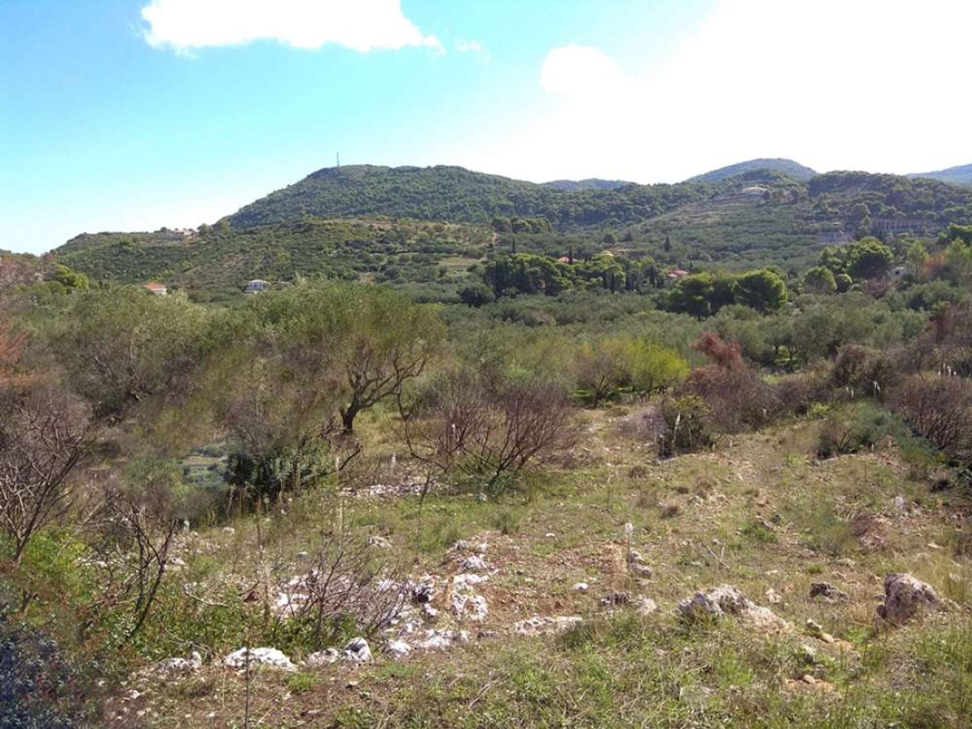 Land in Zakynthos, Zakinthos 10087921