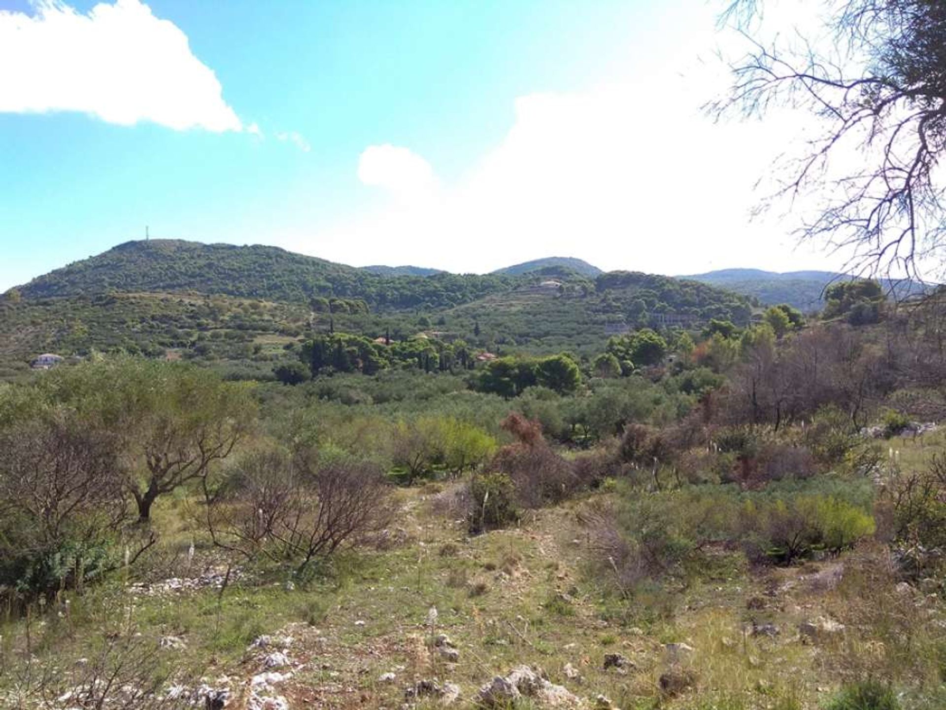 Land in Zakynthos, Zakinthos 10087921