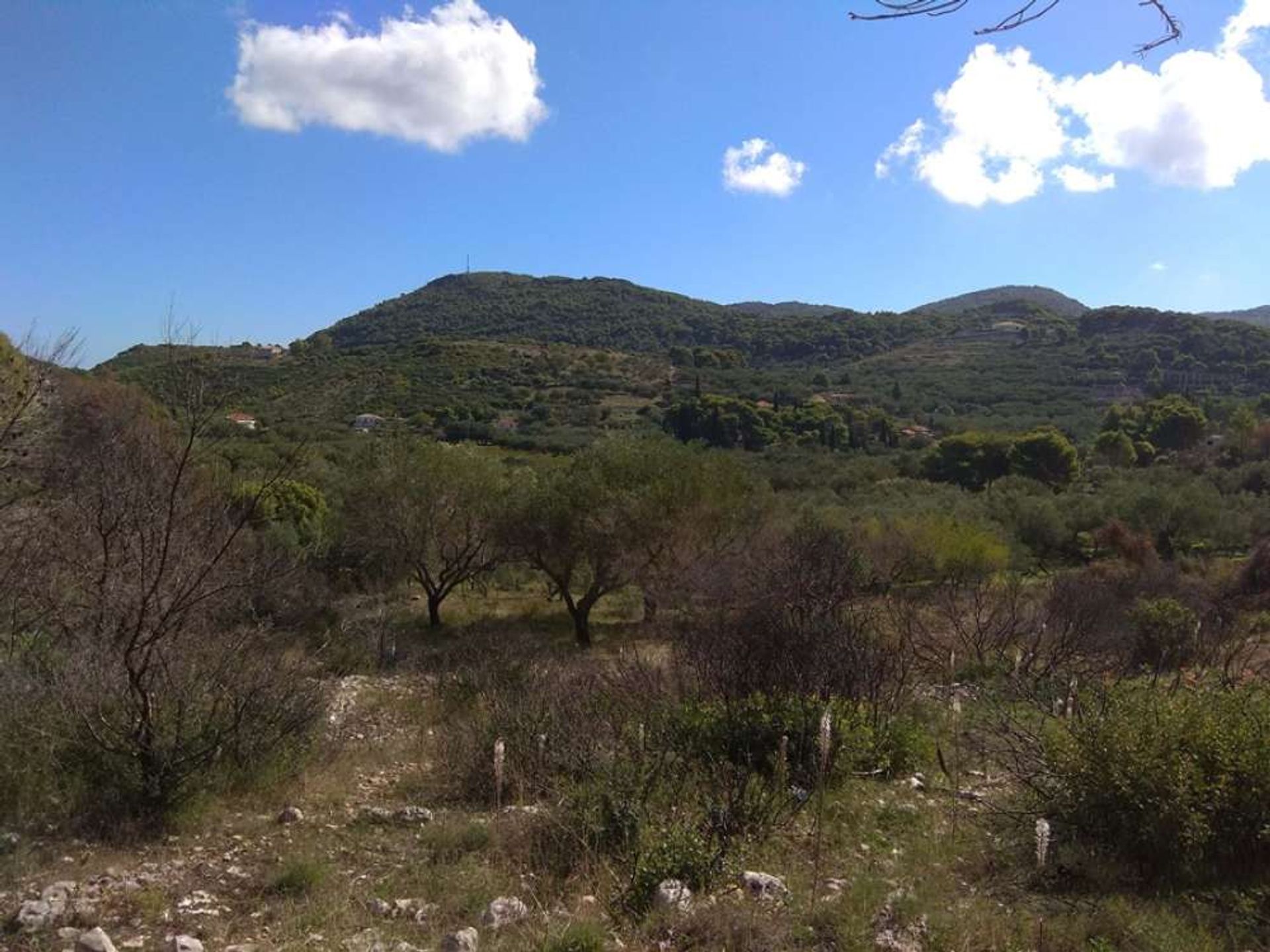 Land in Zakynthos, Zakinthos 10087921