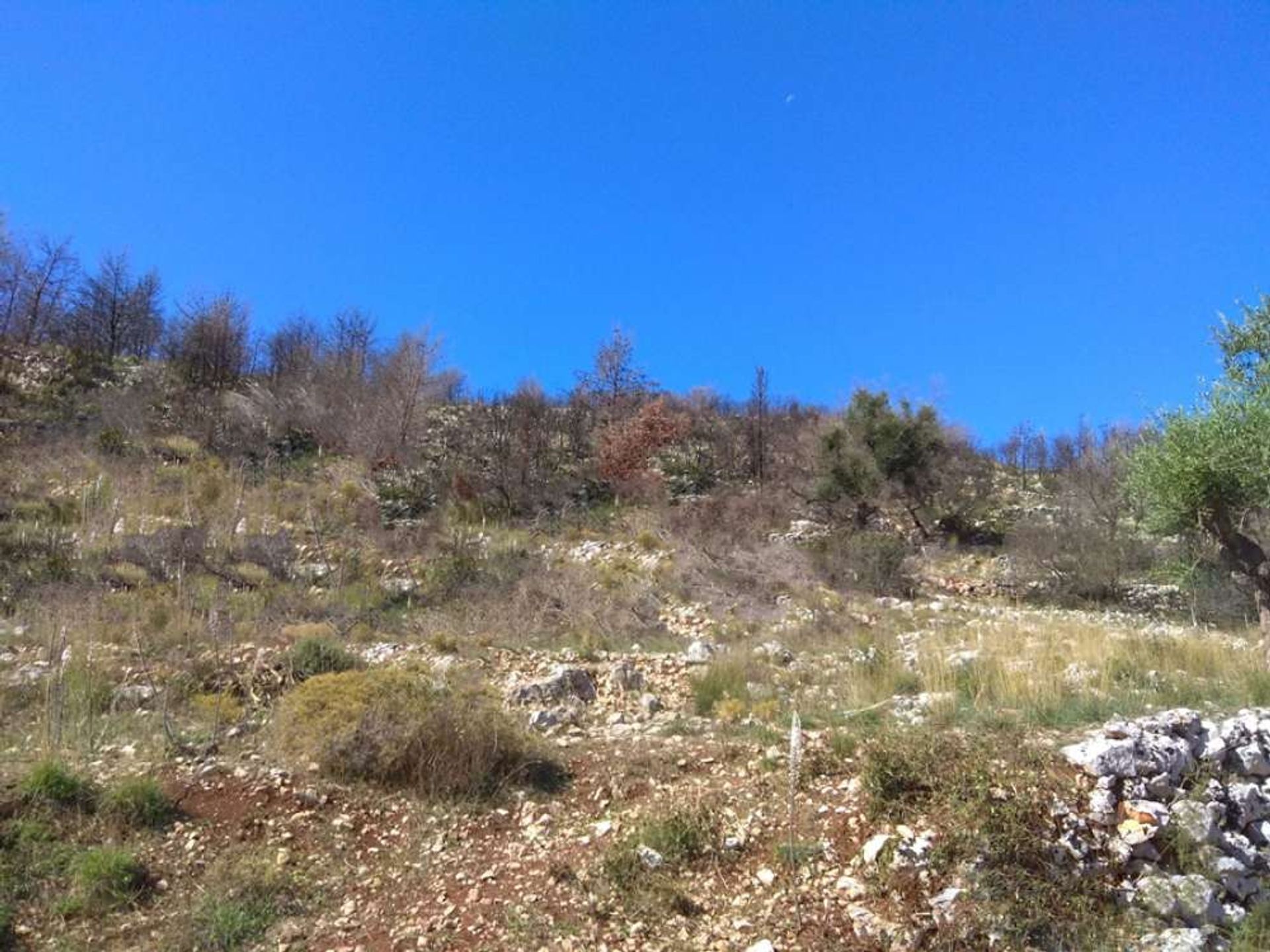 Land in Zakynthos, Zakinthos 10087921