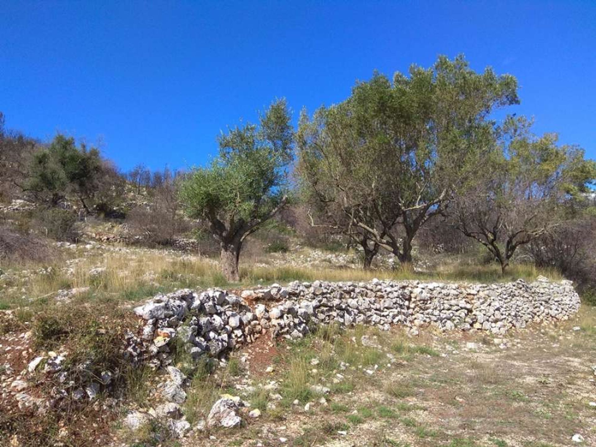 Land in Zakynthos, Zakinthos 10087921