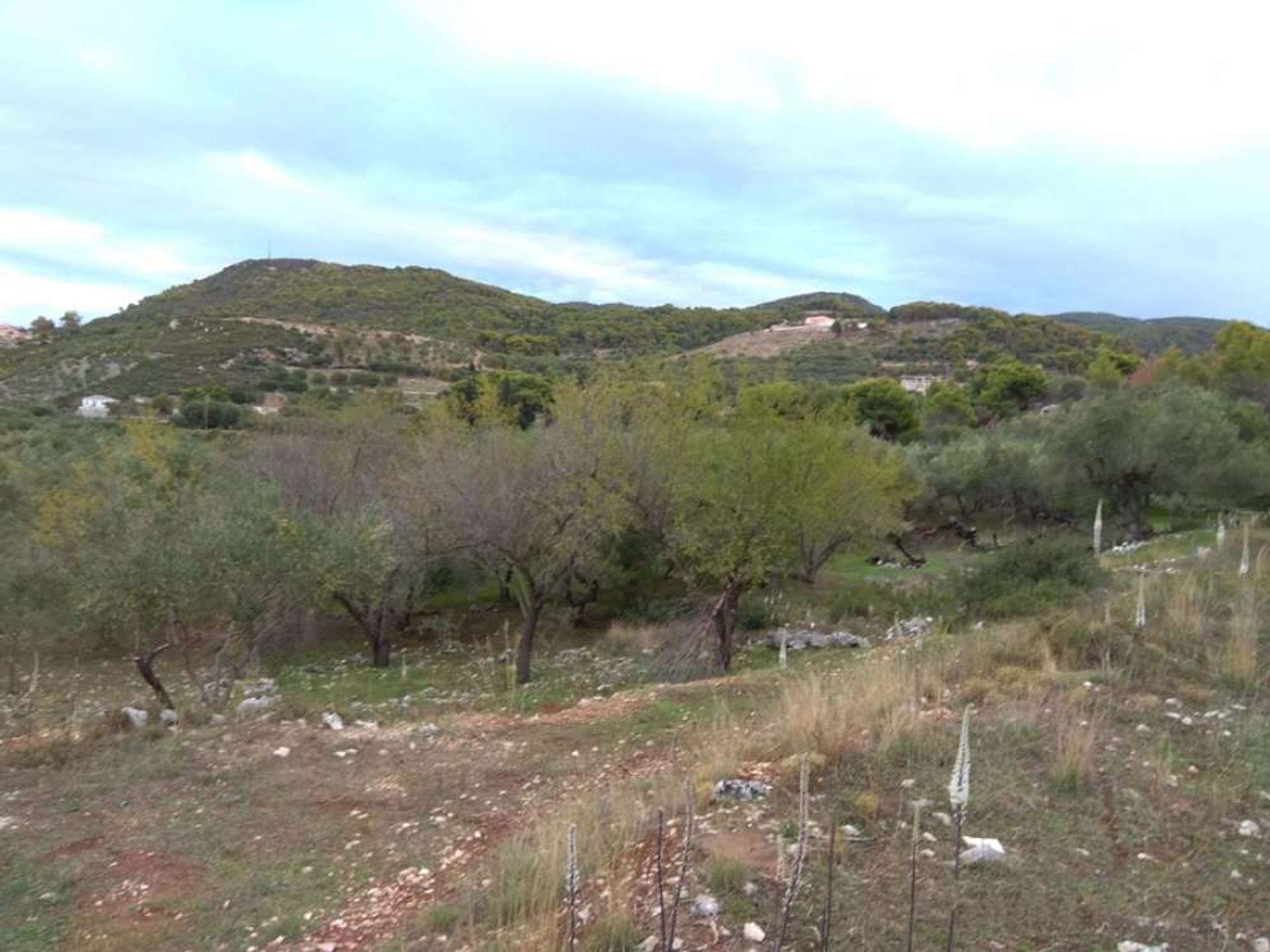 Land in Zakynthos, Zakinthos 10087921