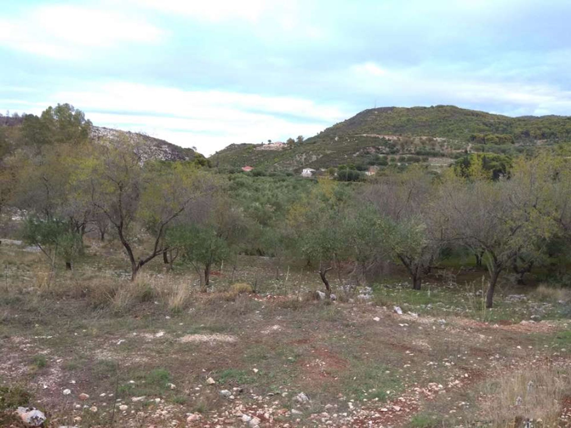 Land in Zakynthos, Zakinthos 10087921