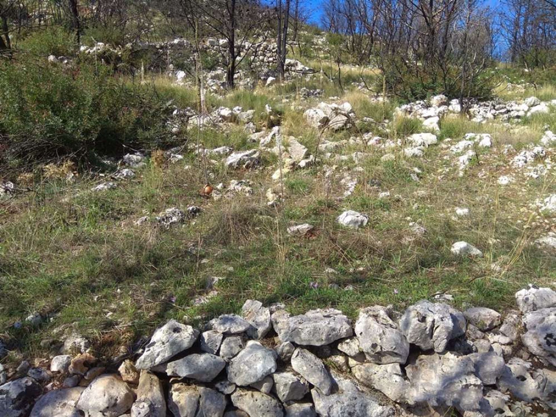 Land in Zakynthos, Zakinthos 10087921