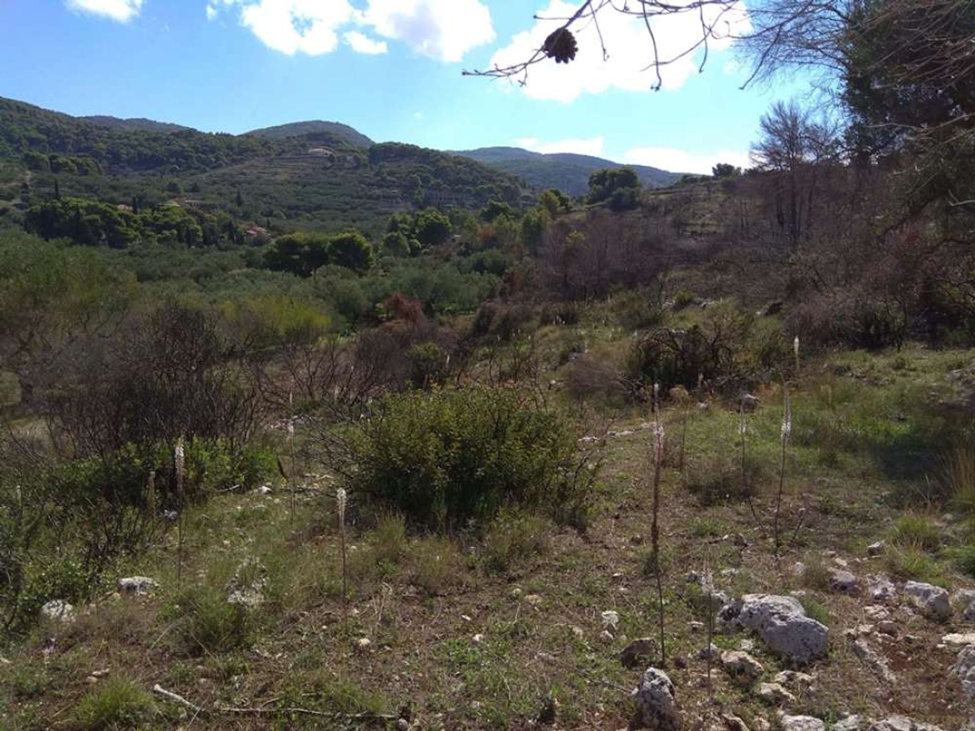 Land in Zakynthos, Zakinthos 10087921