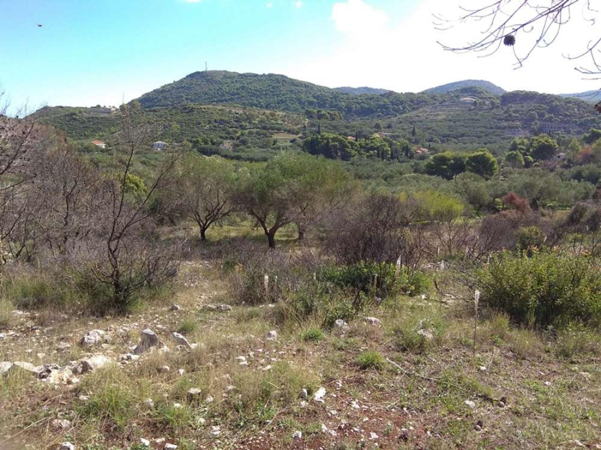 Land in Zakynthos, Zakinthos 10087921