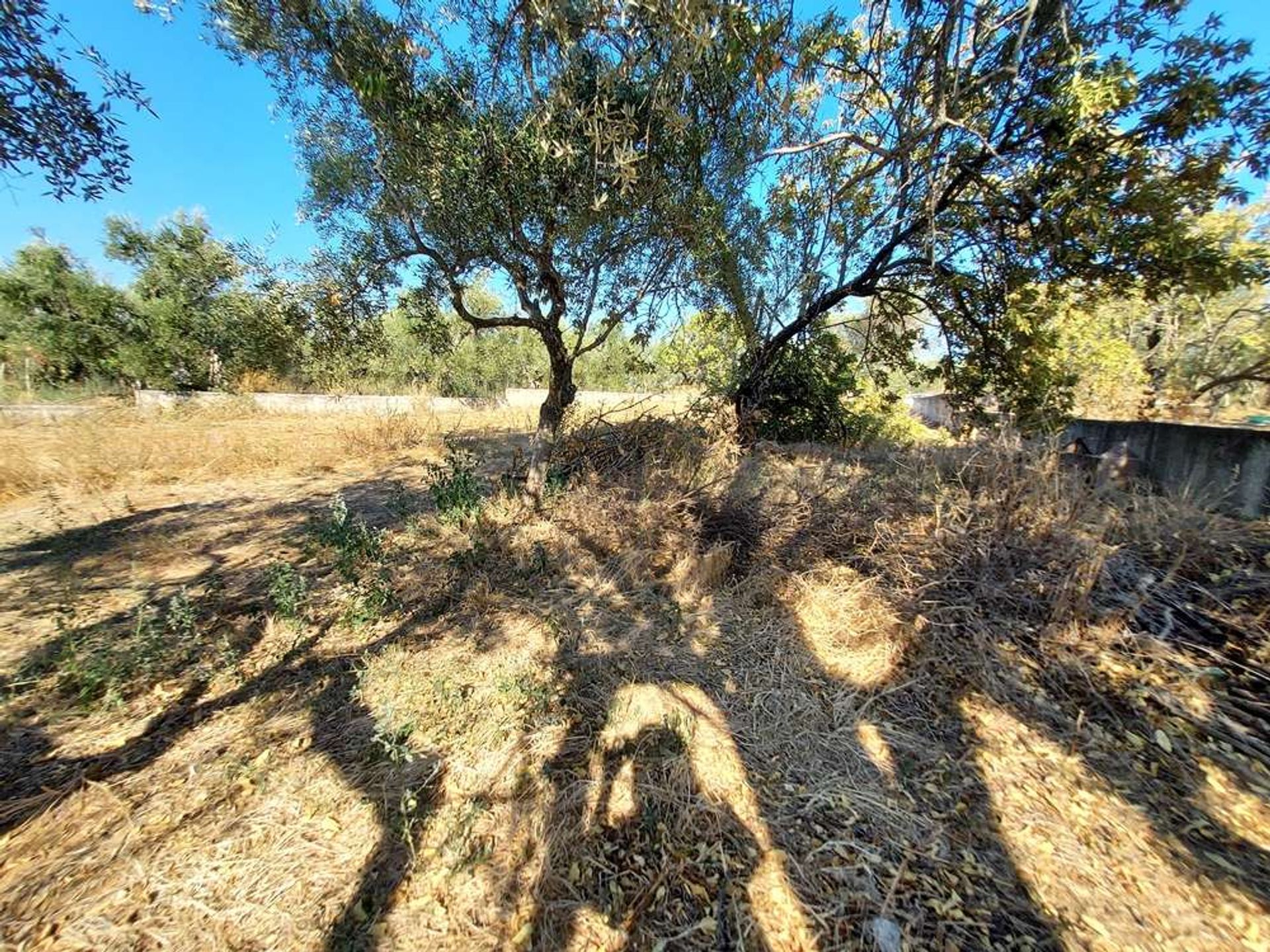 土地 在 Zakynthos, Zakinthos 10087930