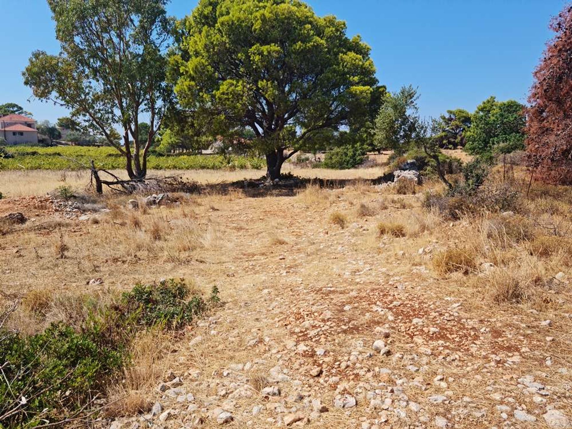 Jord i Zakynthos, Zakinthos 10087931