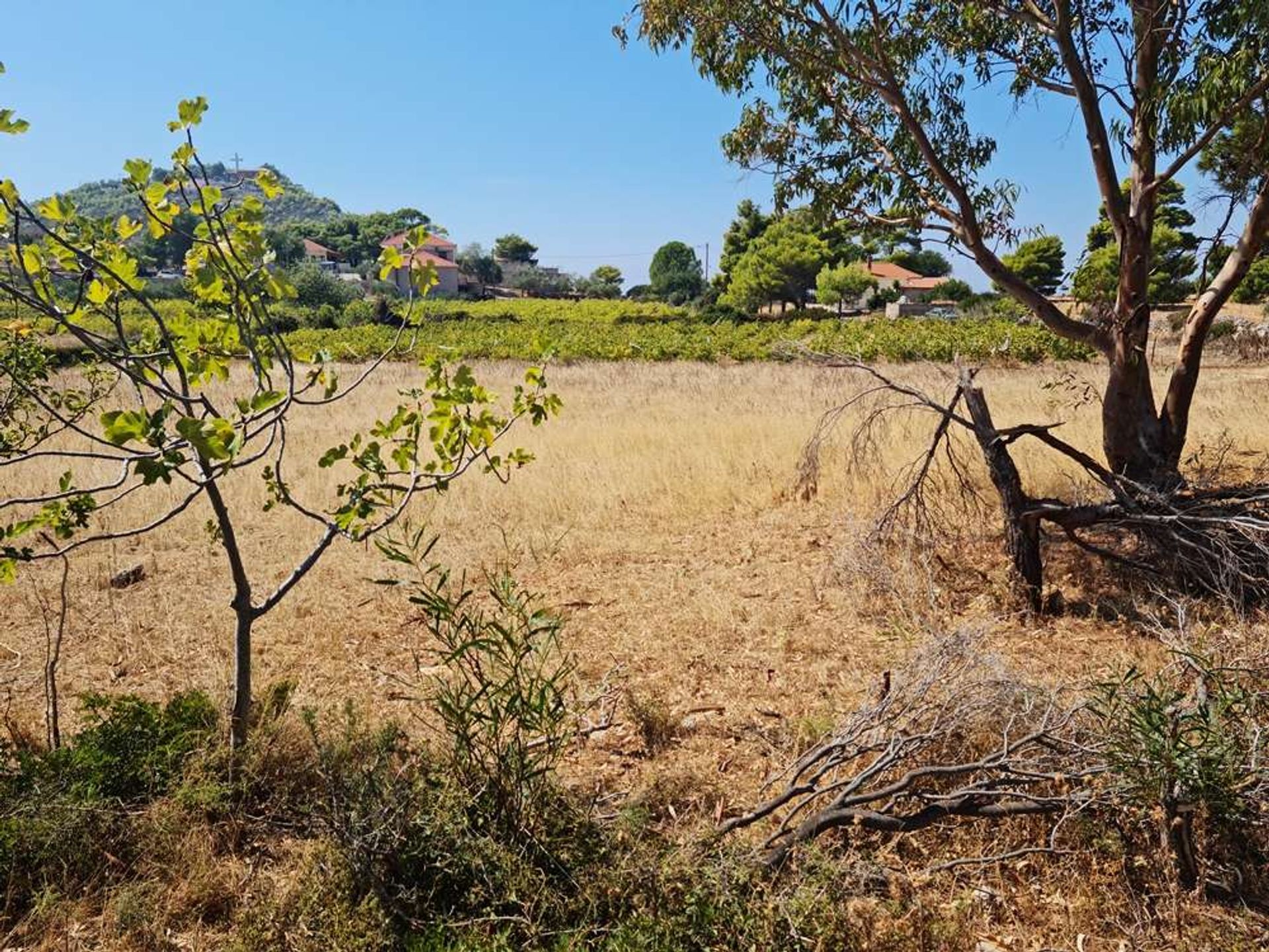 Jord i Zakynthos, Zakinthos 10087931