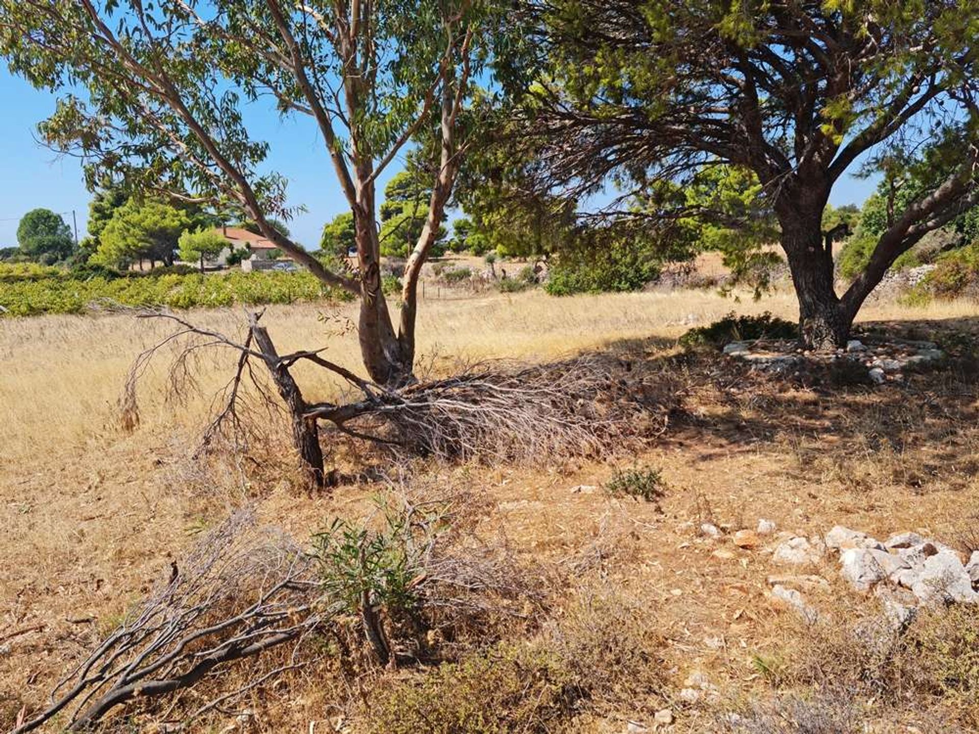 Jord i Zakynthos, Zakinthos 10087931