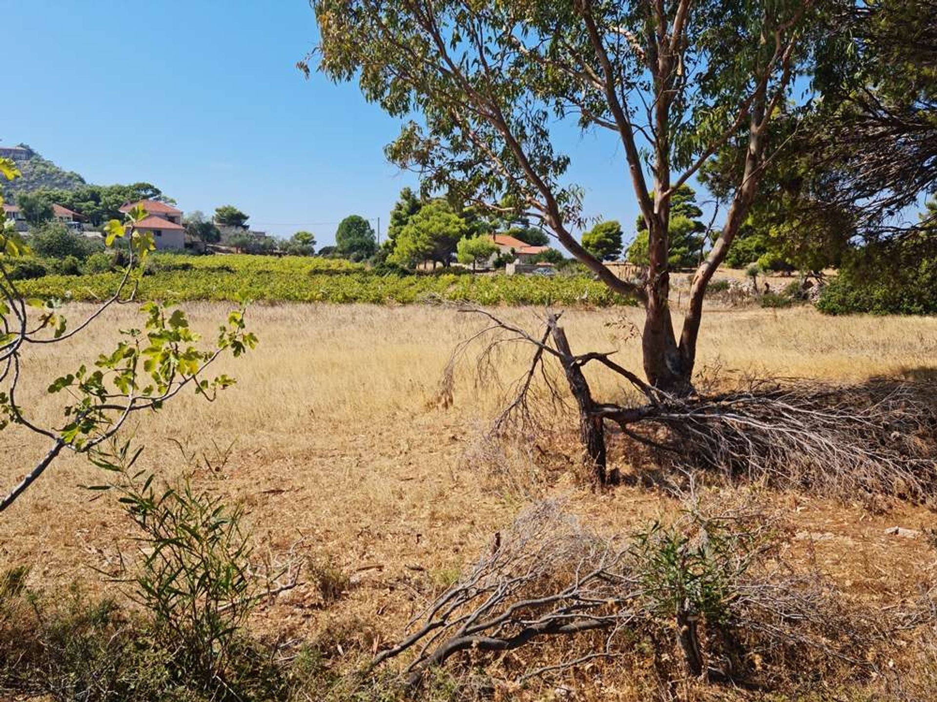 Land in Zakynthos, Zakinthos 10087931