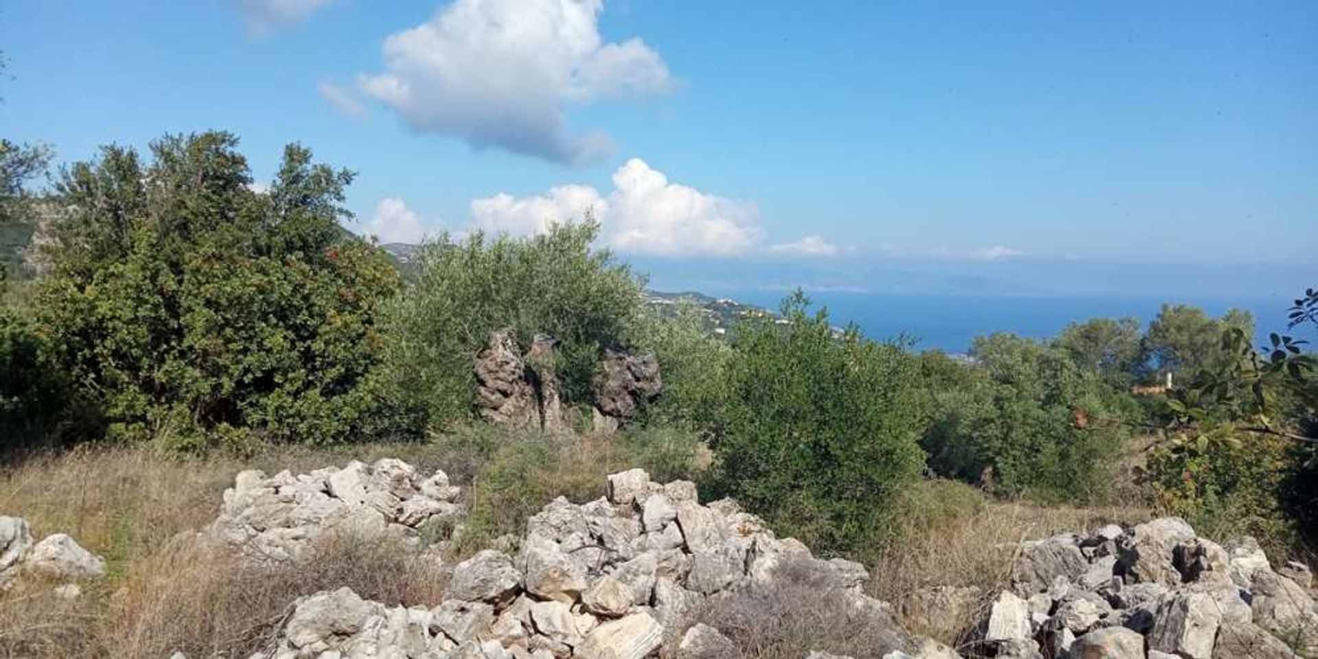 Maa sisään Zakynthos, Zakinthos 10087933