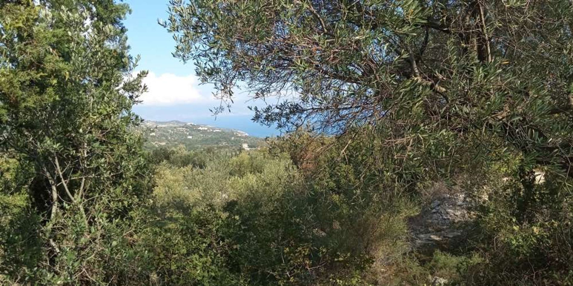 Γη σε Zakynthos, Zakinthos 10087933