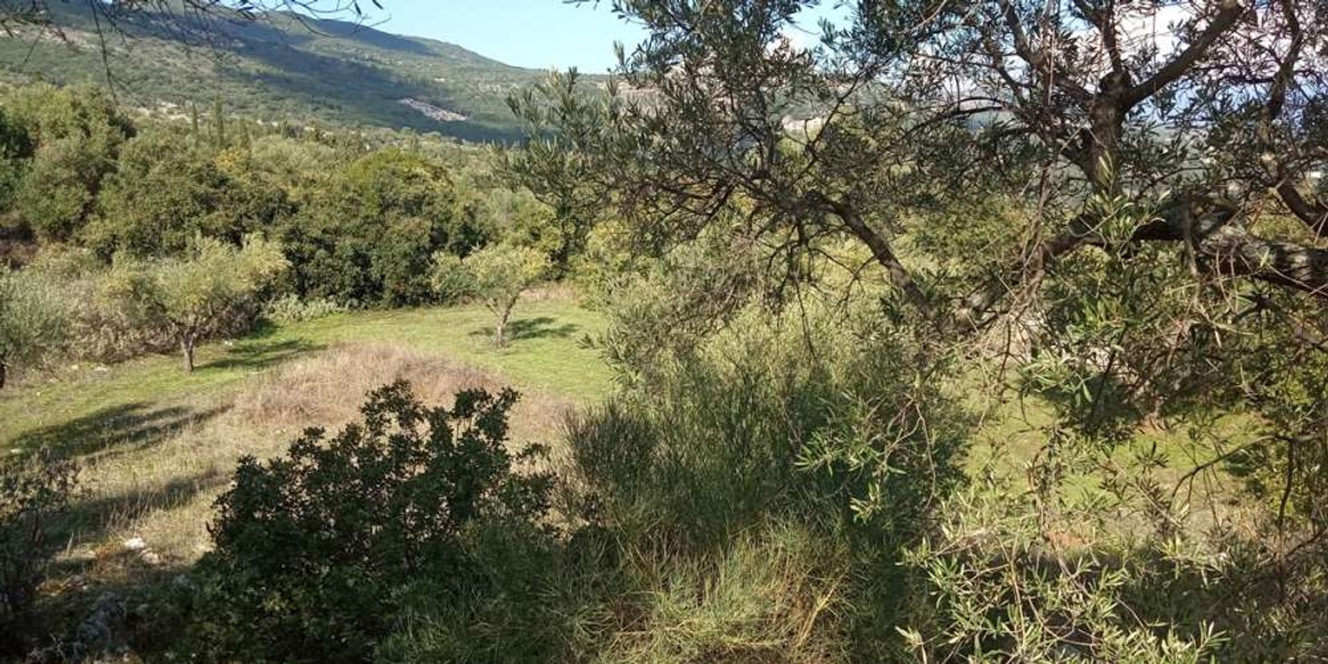 Maa sisään Zakynthos, Zakinthos 10087933