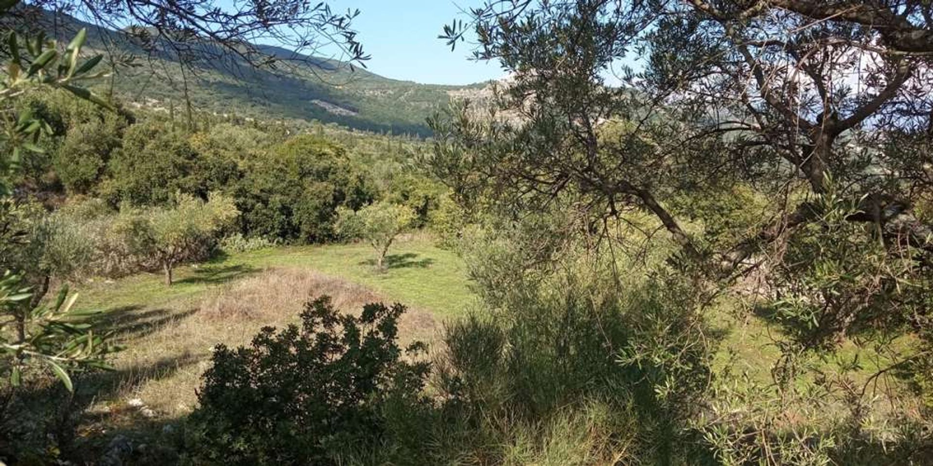 Maa sisään Zakynthos, Zakinthos 10087933