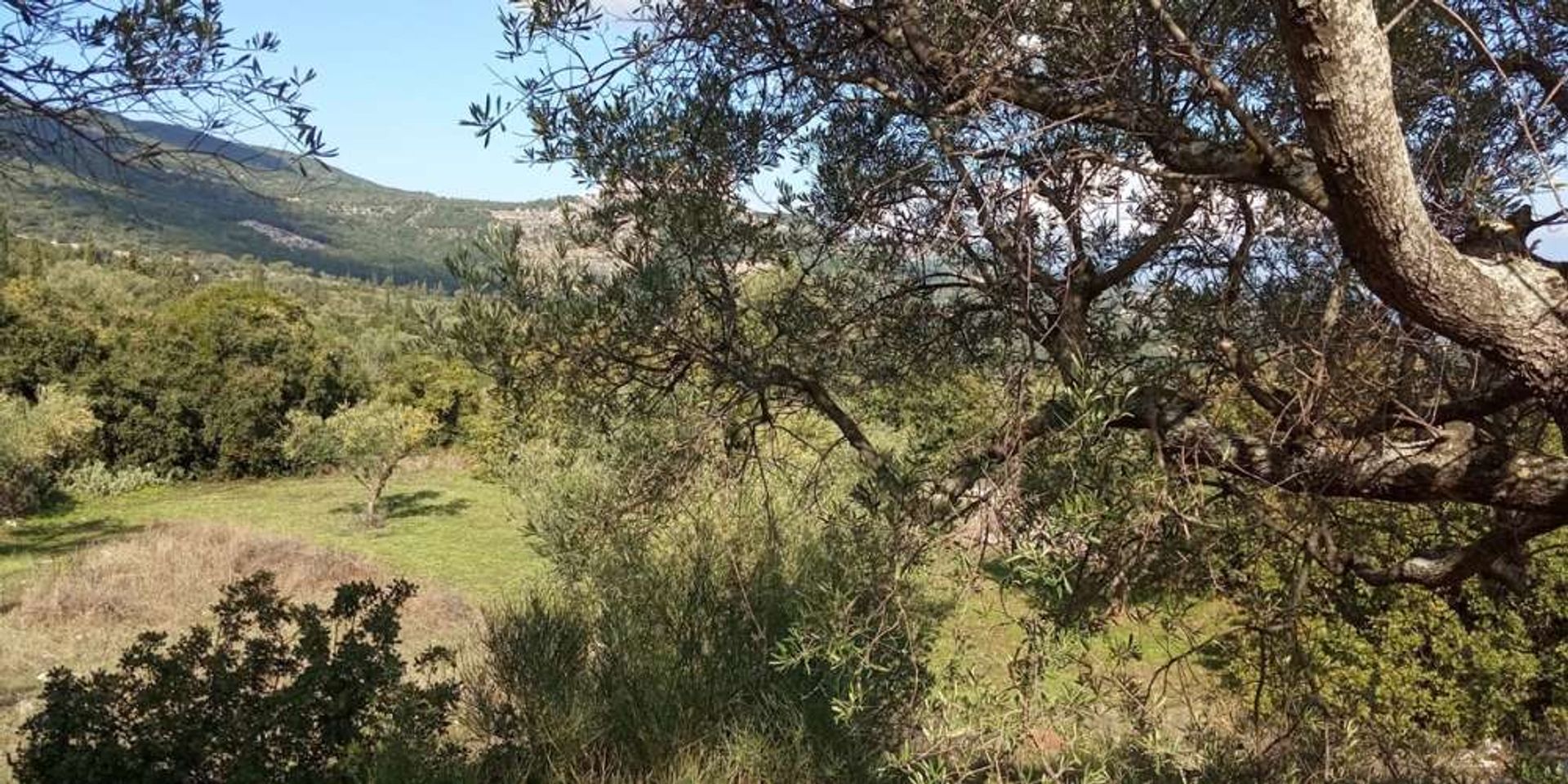 Γη σε Zakynthos, Zakinthos 10087933