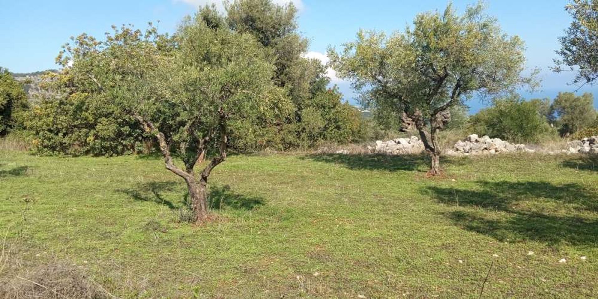 Maa sisään Zakynthos, Zakinthos 10087933