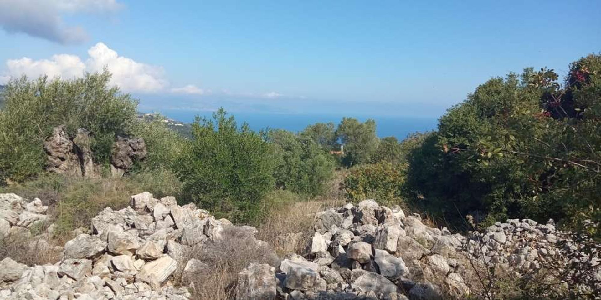 Maa sisään Zakynthos, Zakinthos 10087933